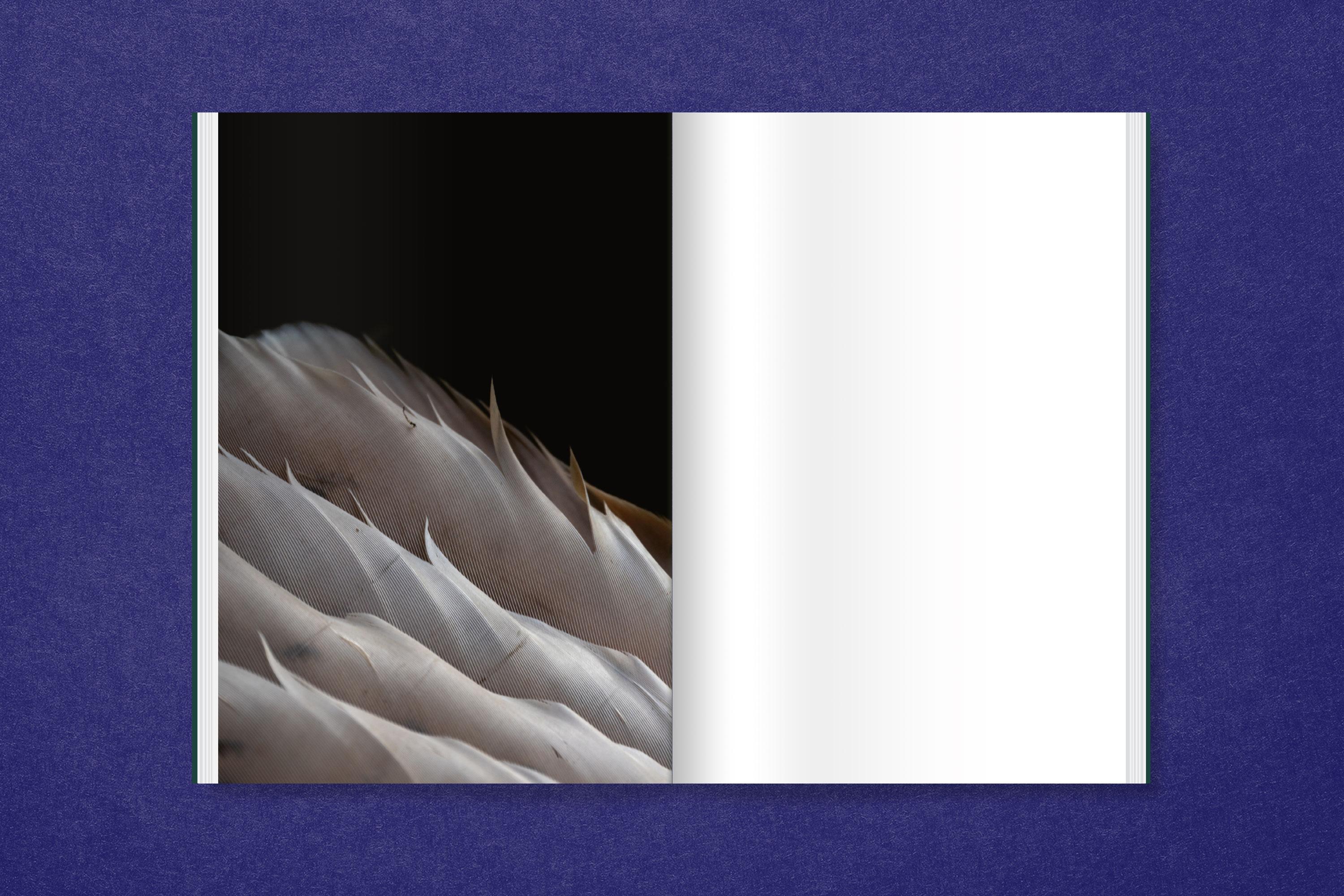 Beispielinhalt (Bild) Saskia Stöhr: Die in der Hecke sitzt