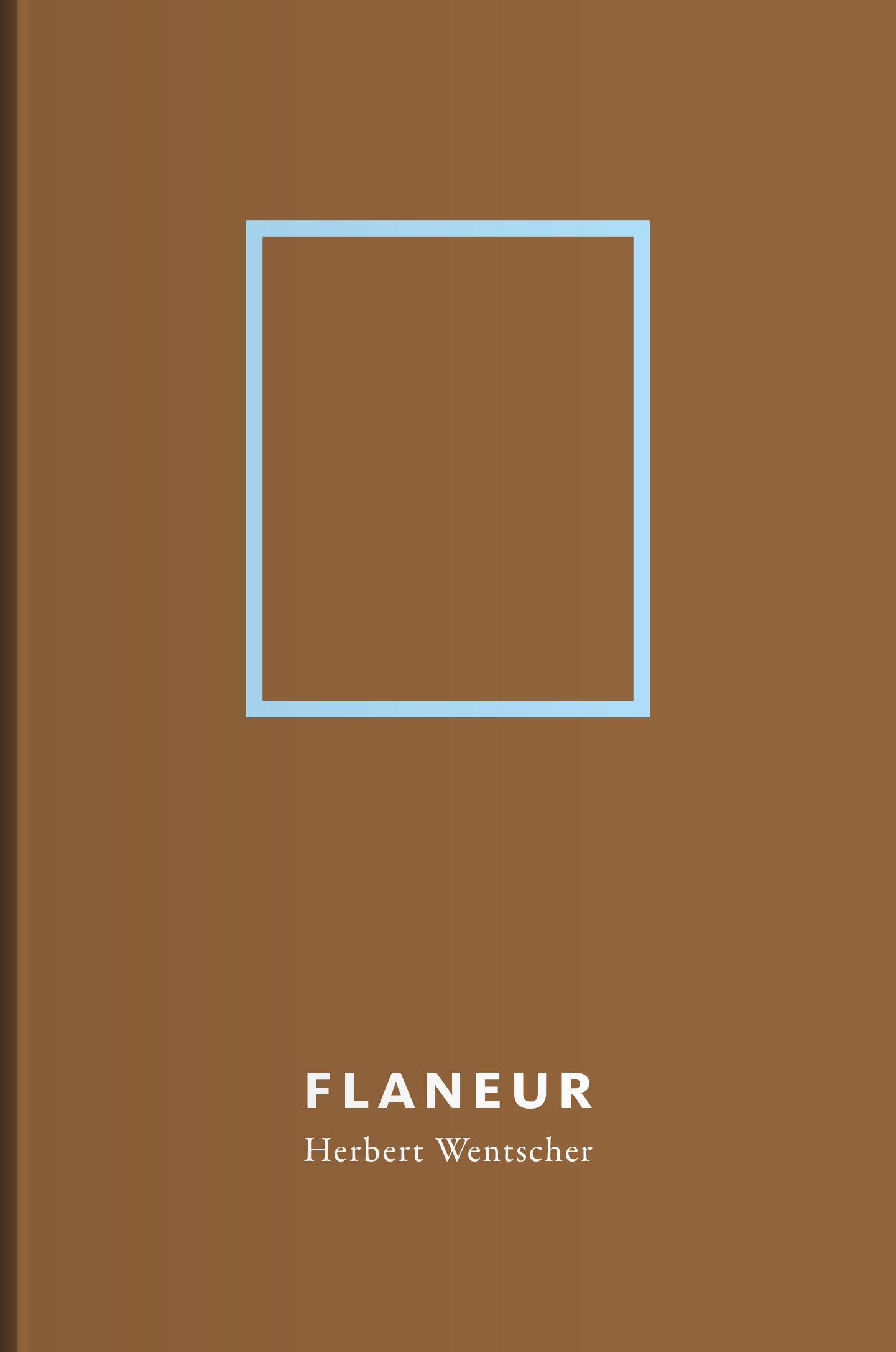 Vorderes Coverbild Flaneur | Herbert Wentscher