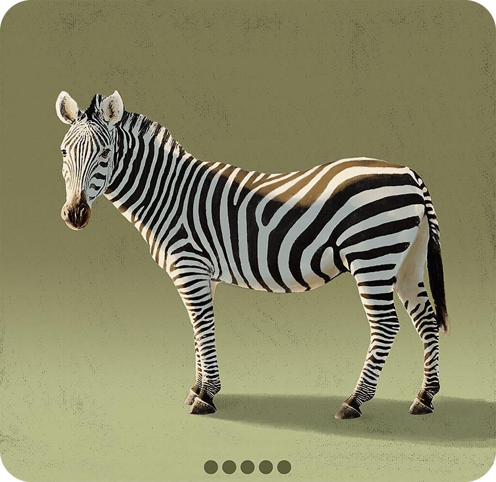 Beispielinhalt (Bild) Blitz Zebra Astronaut
