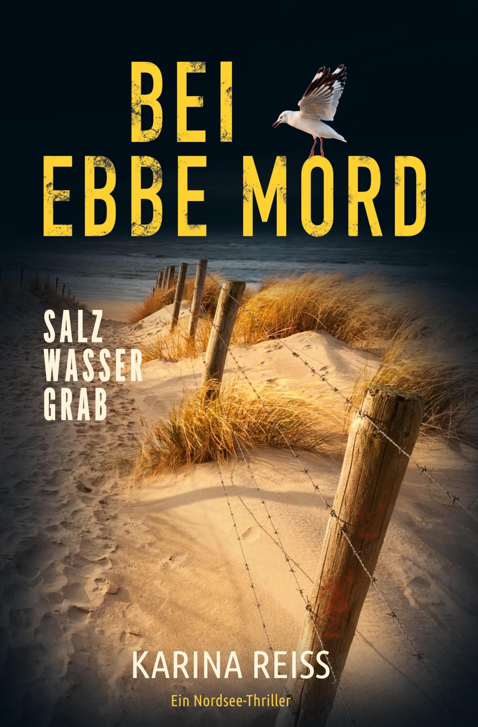 Vorderes Coverbild Bei Ebbe Mord - Salzwassergrab: Ein Nordsee-Thriller