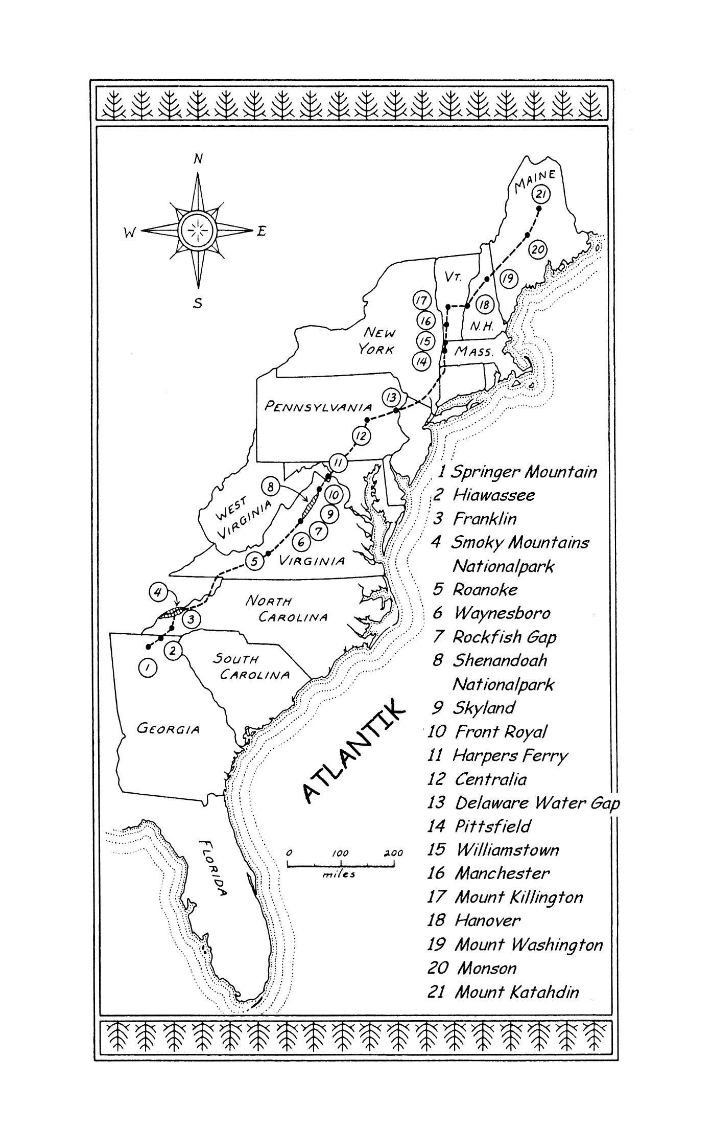 Beispielinhalt (Bild) Picknick mit Bären und Frühstück mit Kängurus