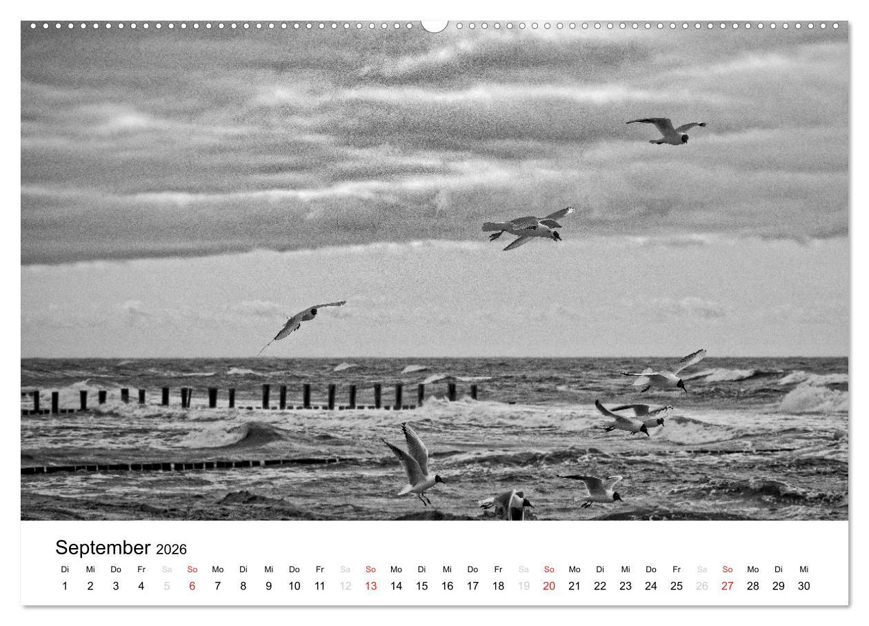 Beispielinhalt (Bild) Ostseebad Zingst - Impressionen in Schwarz-Weiß (Wandkalender 2026 DIN A2 quer), CALVENDO Monatskalender