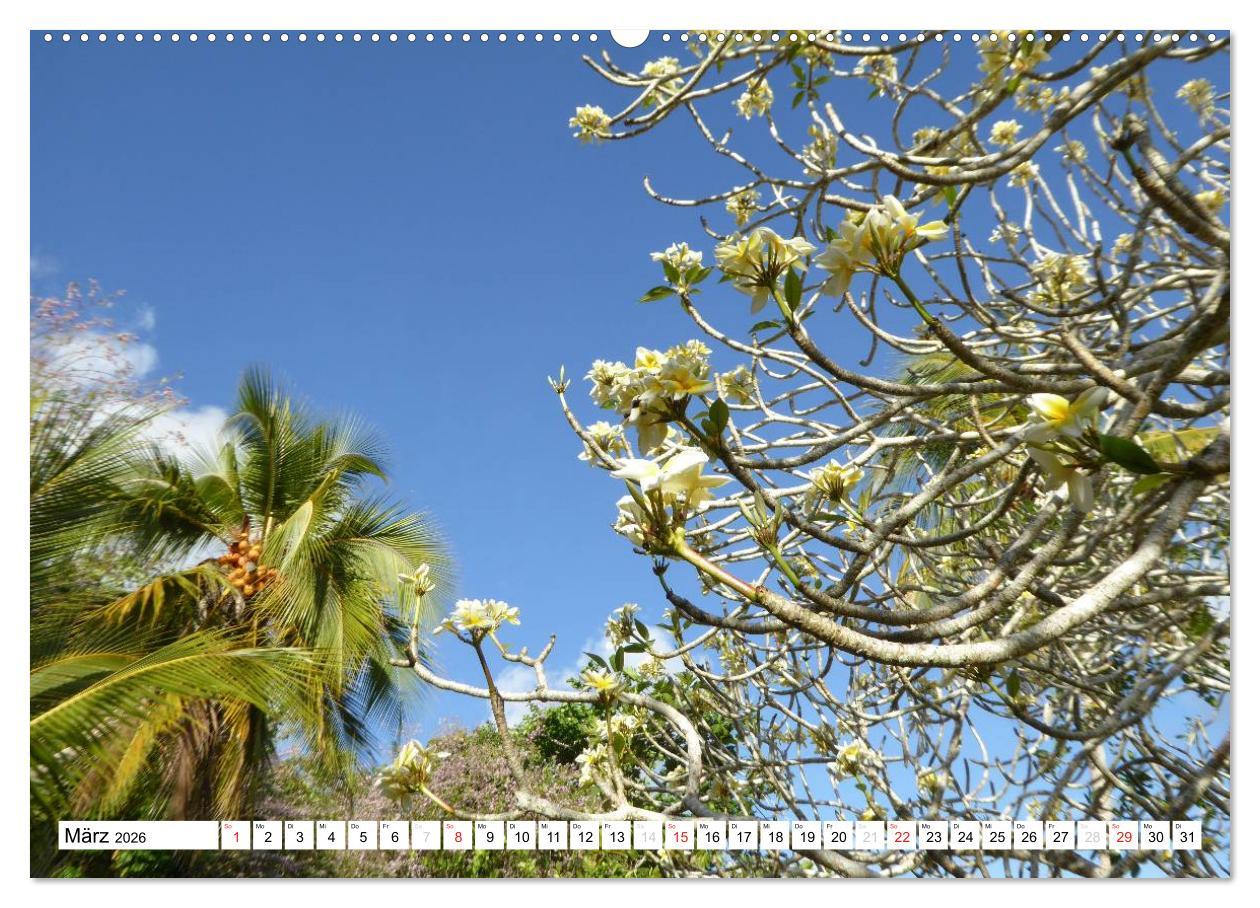 Beispielinhalt (Bild) Papua-Neuguinea Geheimnisvolle Inselwelt (hochwertiger Premium Wandkalender 2026 DIN A2 quer), Kunstdruck in Hochglanz