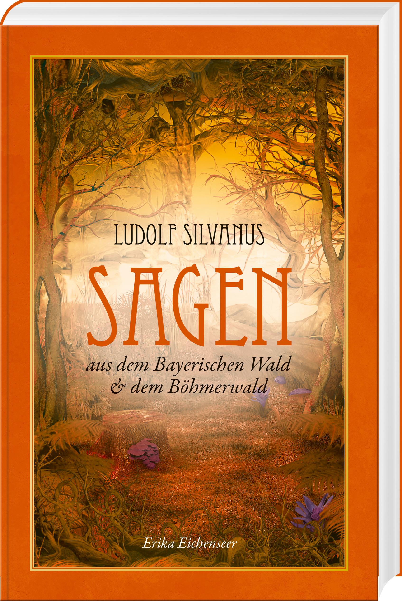 Vorderes Coverbild Ludolf Silvanus