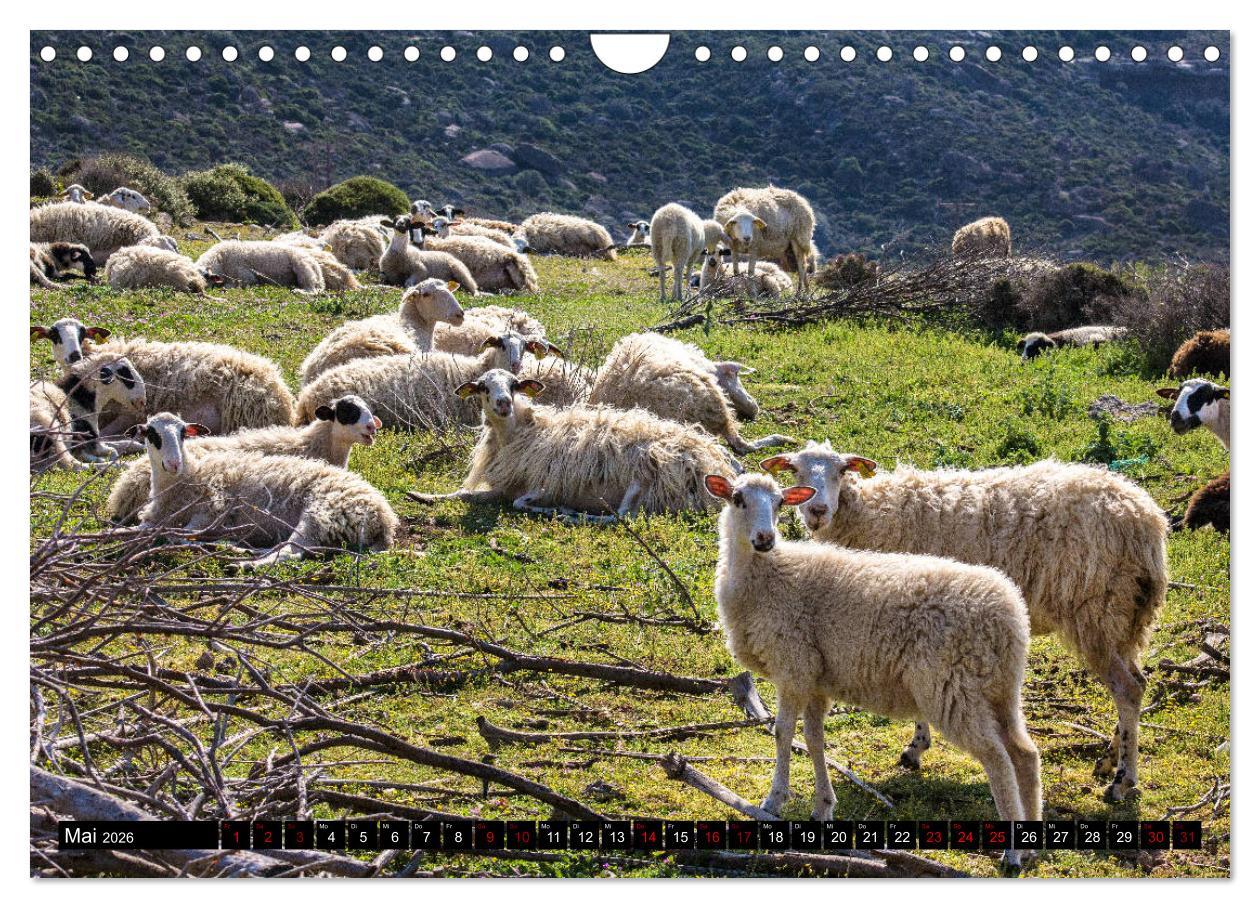 Beispielinhalt (Bild) Ostkreta - Zwischen Sitia und Ierapetra (Wandkalender 2026 DIN A4 quer), CALVENDO Monatskalender