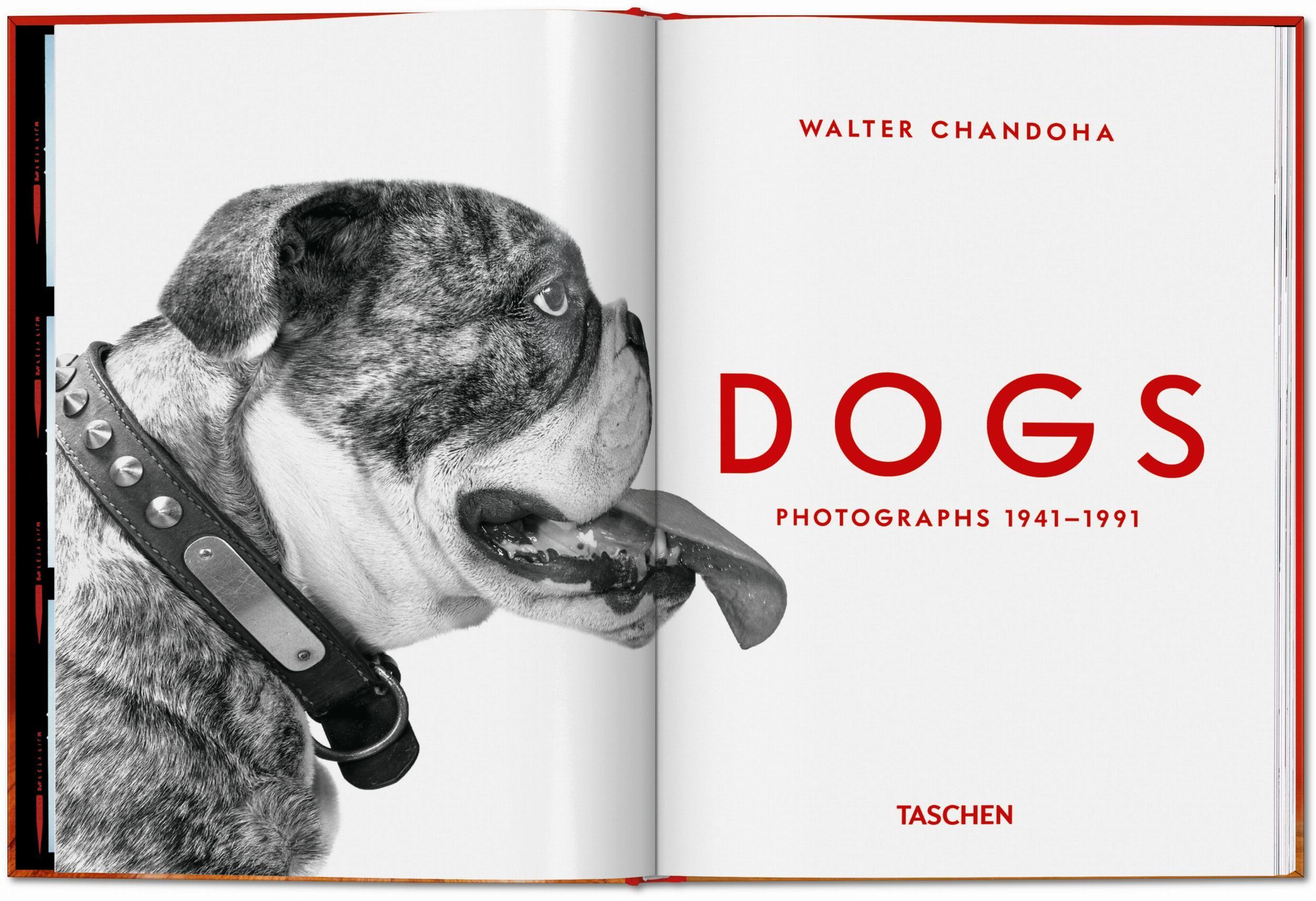 Beispielinhalt (Bild) Walter Chandoha. Dogs. Photographs 1941-1991