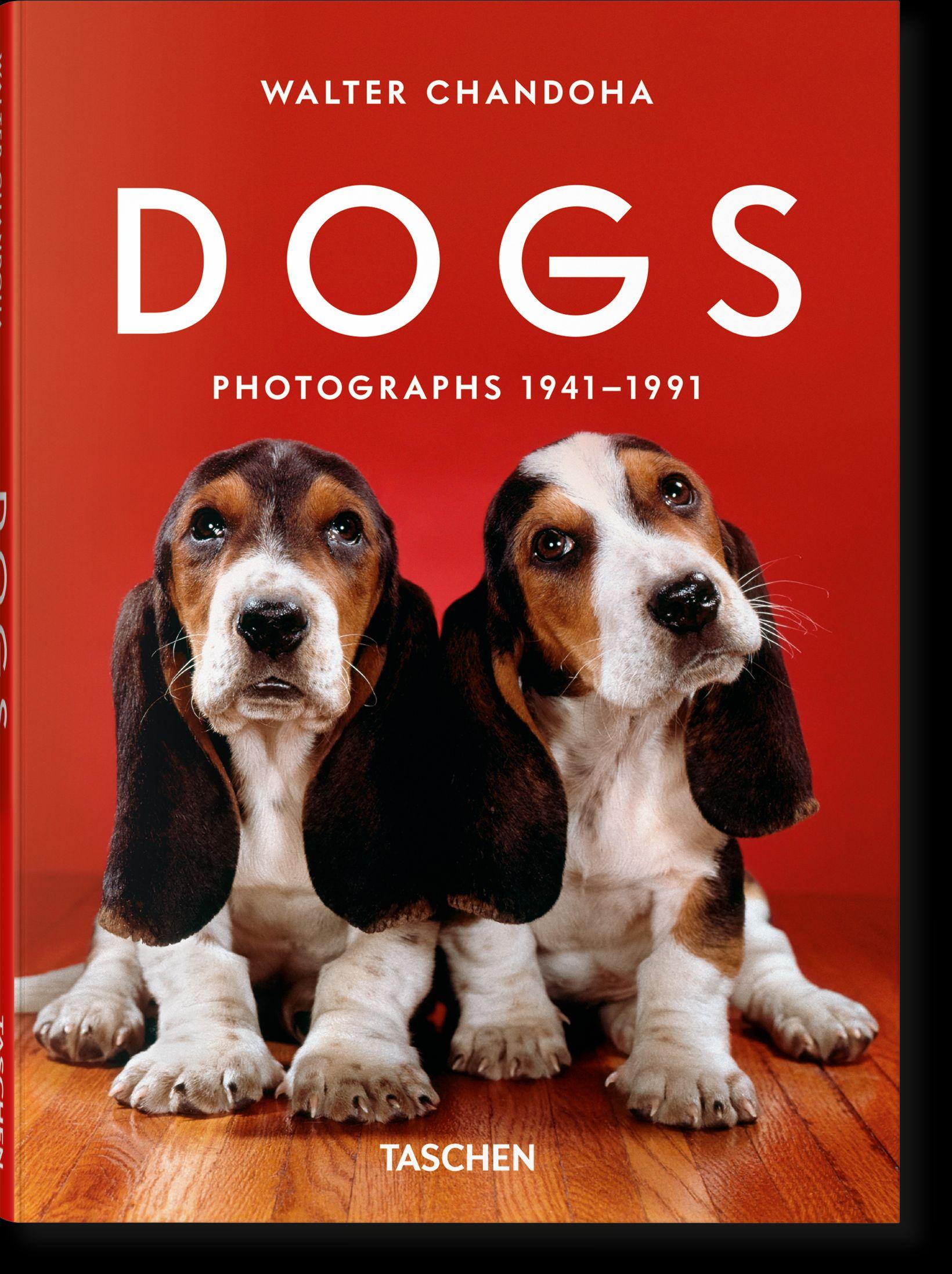 Vorderes Coverbild Walter Chandoha. Dogs. Photographs 1941-1991