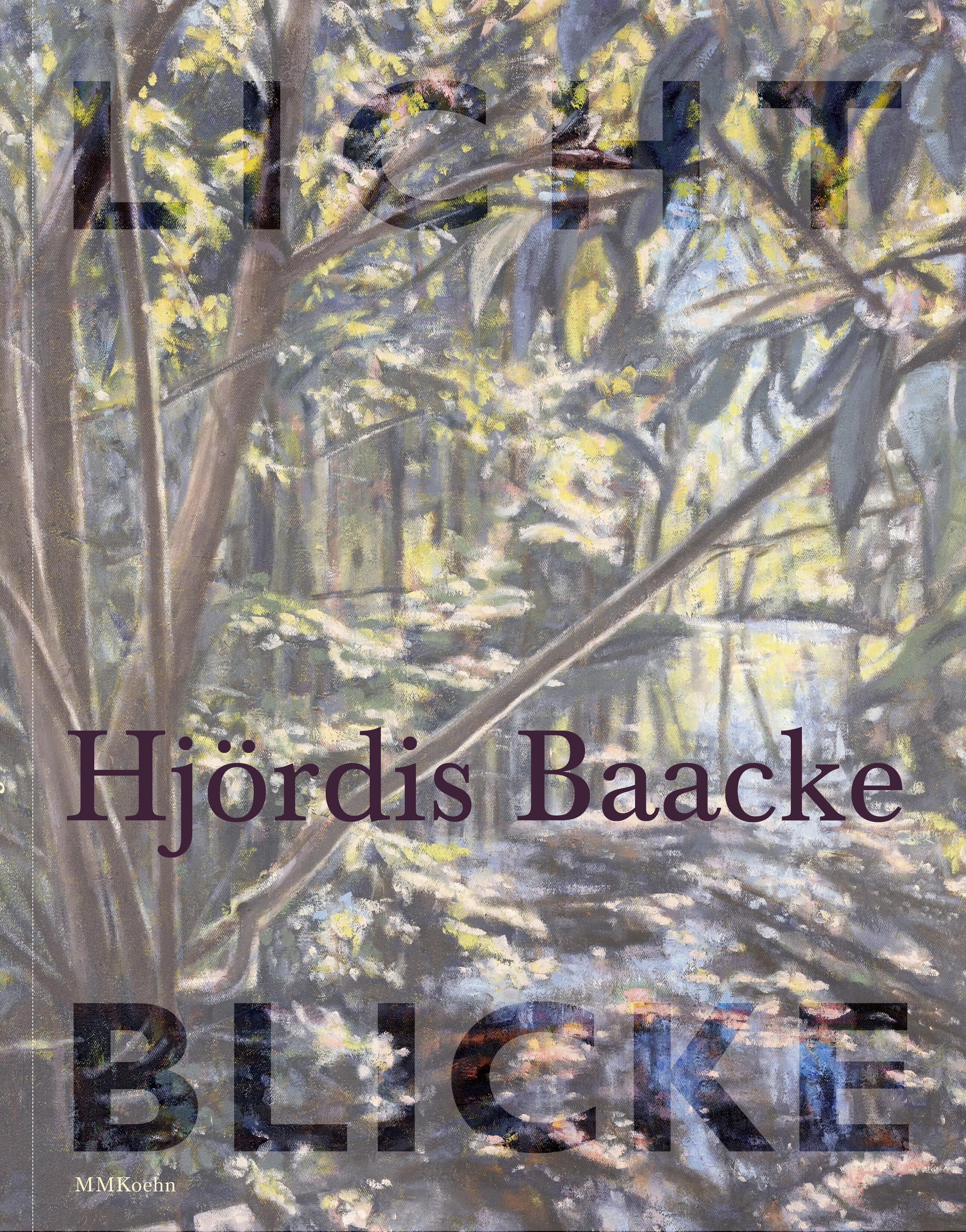 Vorderes Coverbild Hjördis Baacke: Lichtblicke