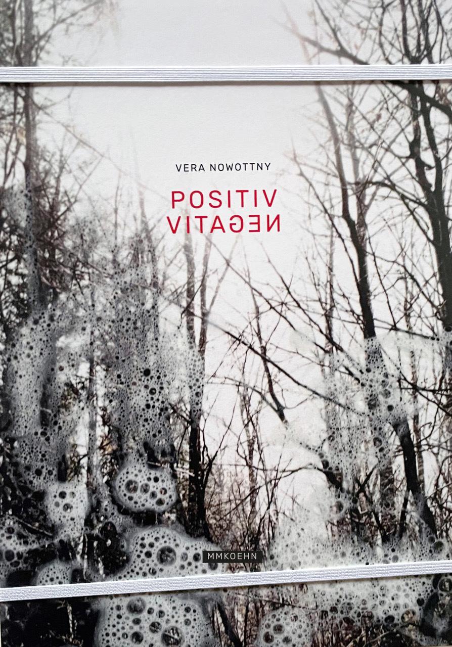 Vorderes Coverbild Vera Nowottny: Positiv-Negativ