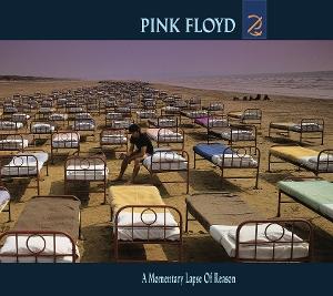 Vorderes Coverbild A Momentary Lapse of Reason