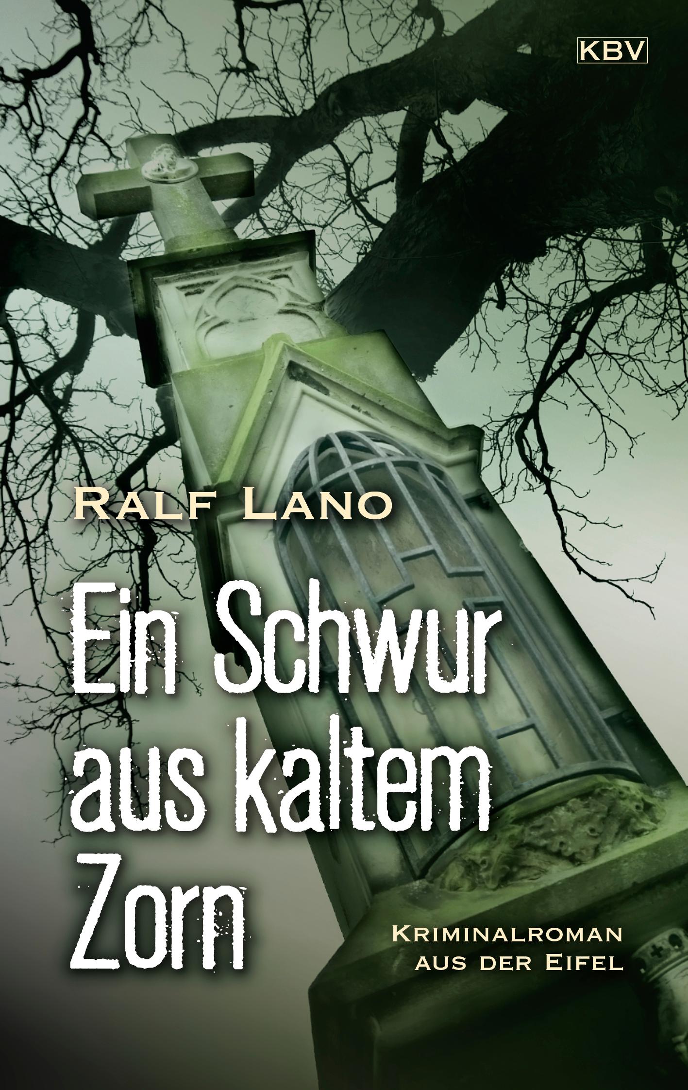 Vorderes Coverbild Ein Schwur aus kaltem Zorn