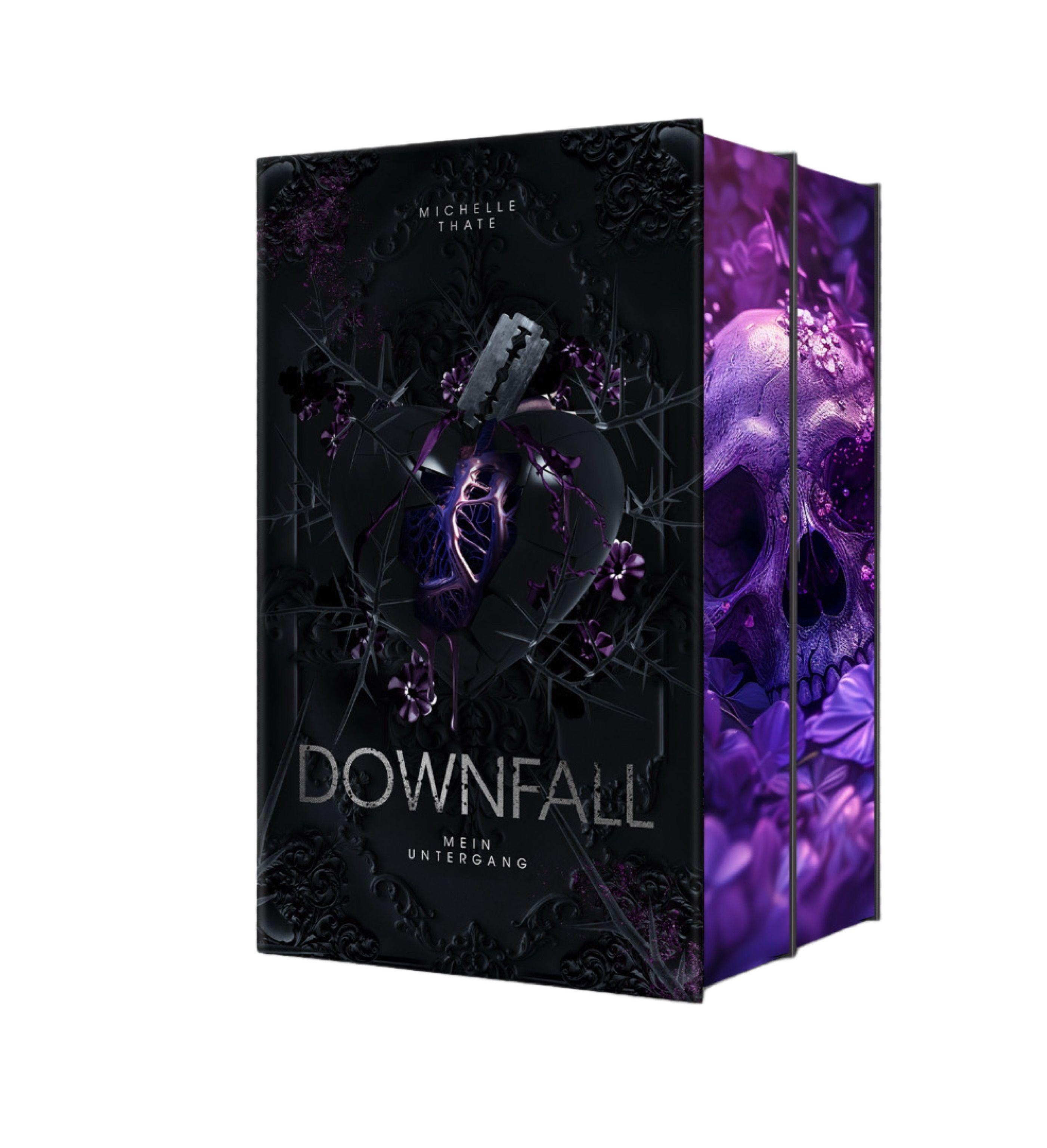 Beispielinhalt (Bild) Downfall 1