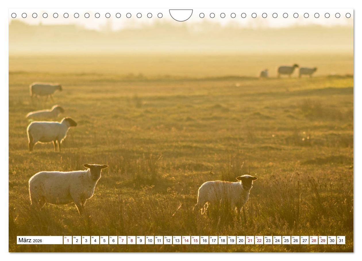 Beispielinhalt (Bild) Cotentin - unser Stück vom Paradies (Wandkalender 2026 DIN A4 quer), CALVENDO Monatskalender
