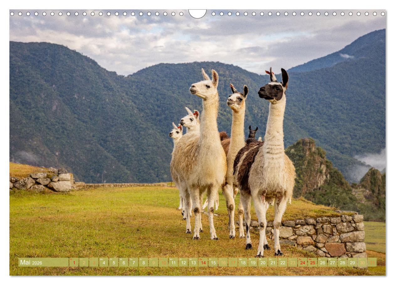 Beispielinhalt (Bild) Peru - Bunte Vielfalt von Machu Picchu bis zur Atacama Wüste (Wandkalender 2026 DIN A3 quer), CALVENDO Monatskalender
