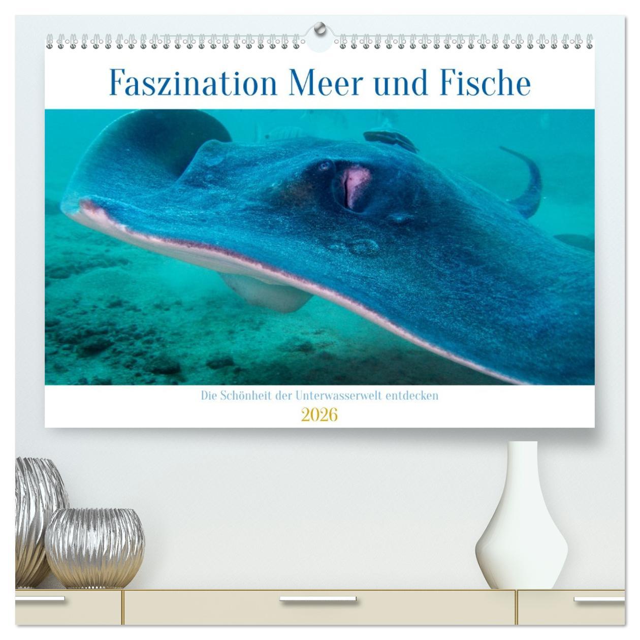 Vorderes Coverbild Faszination Meer und Fische (hochwertiger Premium Wandkalender 2026 DIN A2 quer), Kunstdruck in Hochglanz
