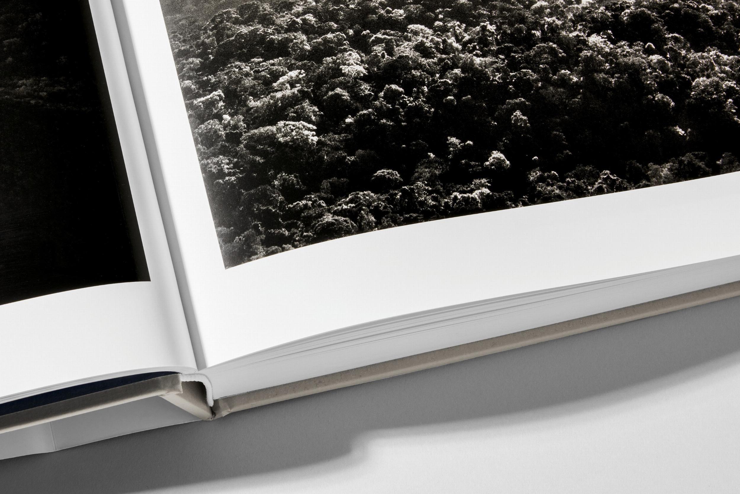 Beispielinhalt (Bild) Sebastião Salgado. Amazônia