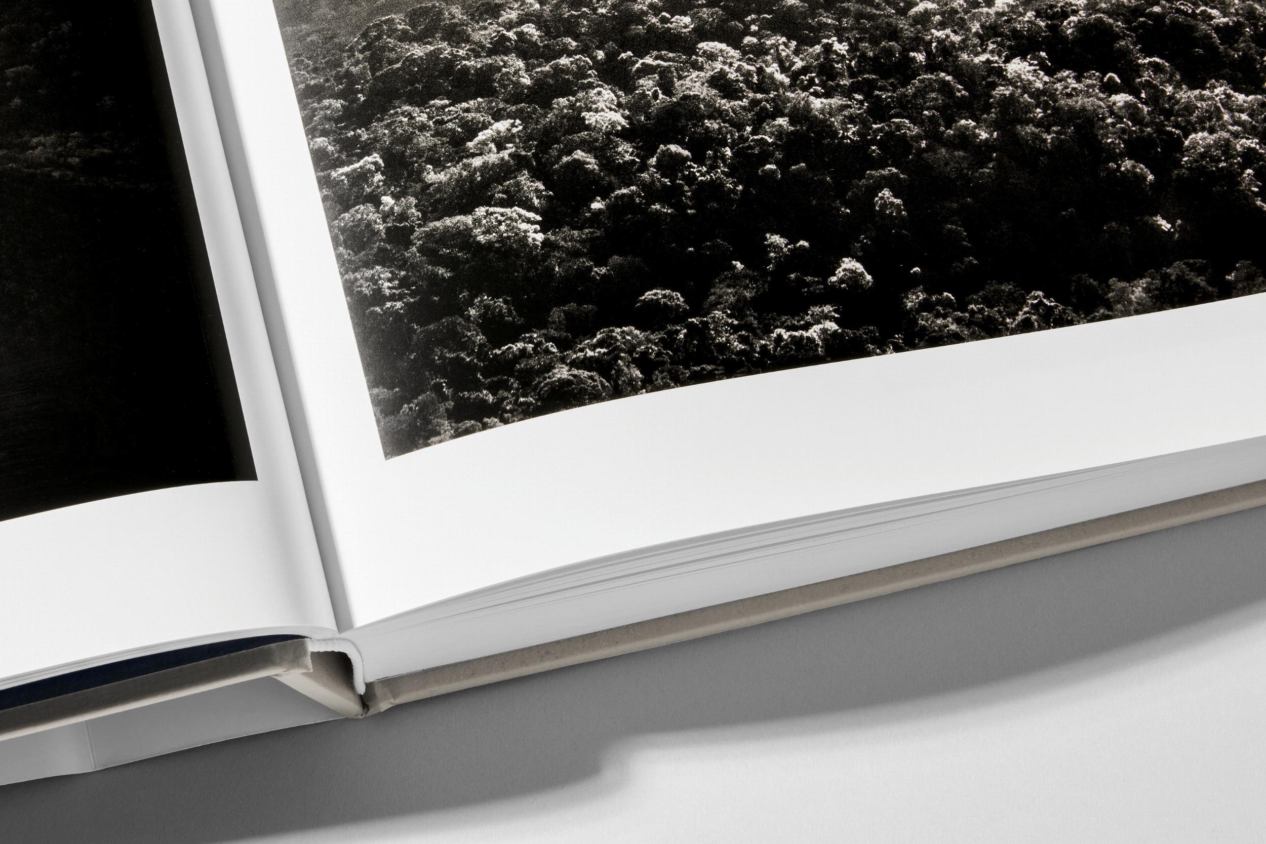 Beispielinhalt (Bild) Sebastião Salgado. Amazônia