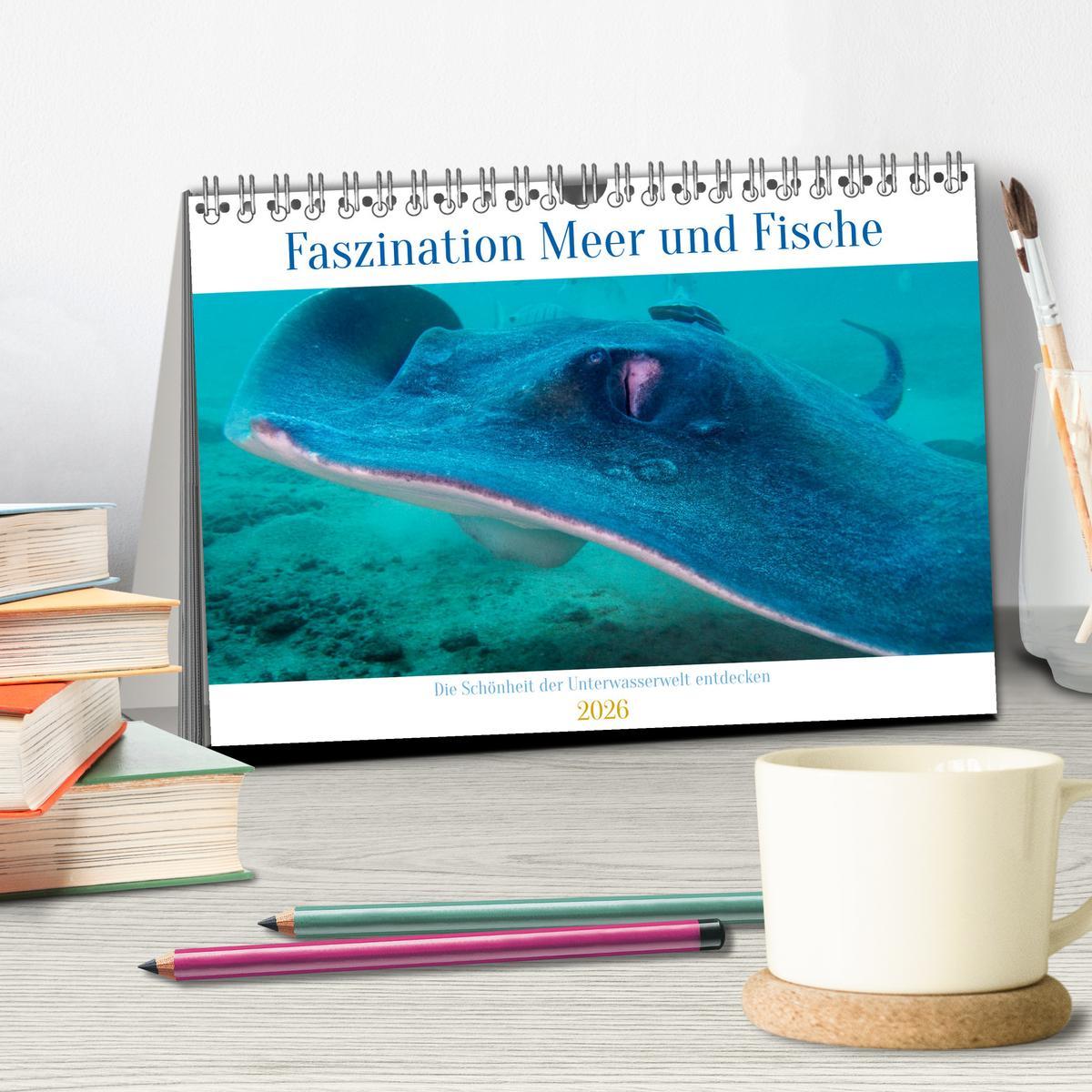 Beispielinhalt (Bild) Faszination Meer und Fische (Tischkalender 2026 DIN A5 quer), CALVENDO Monatskalender