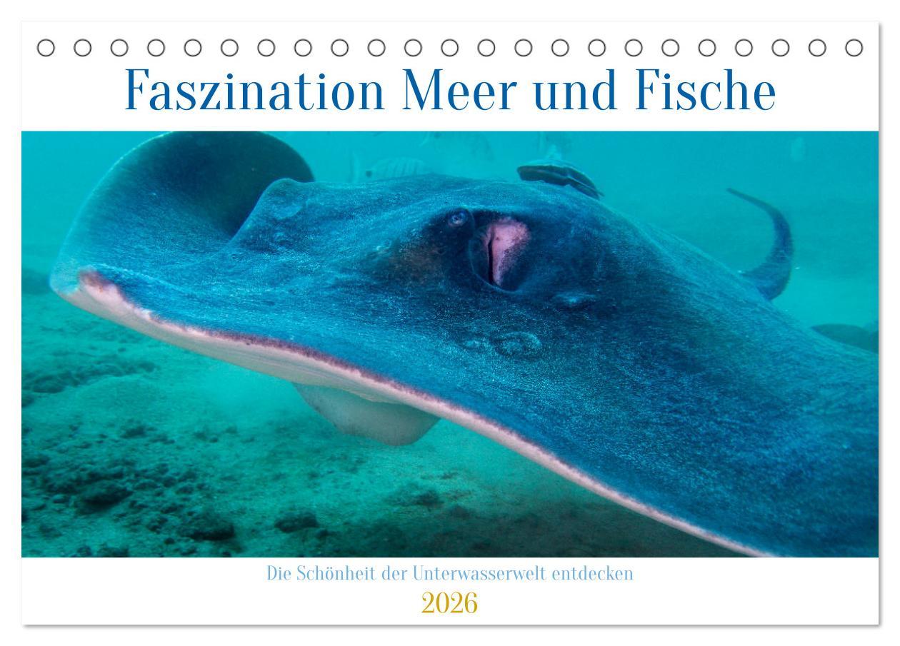 Vorderes Coverbild Faszination Meer und Fische (Tischkalender 2026 DIN A5 quer), CALVENDO Monatskalender
