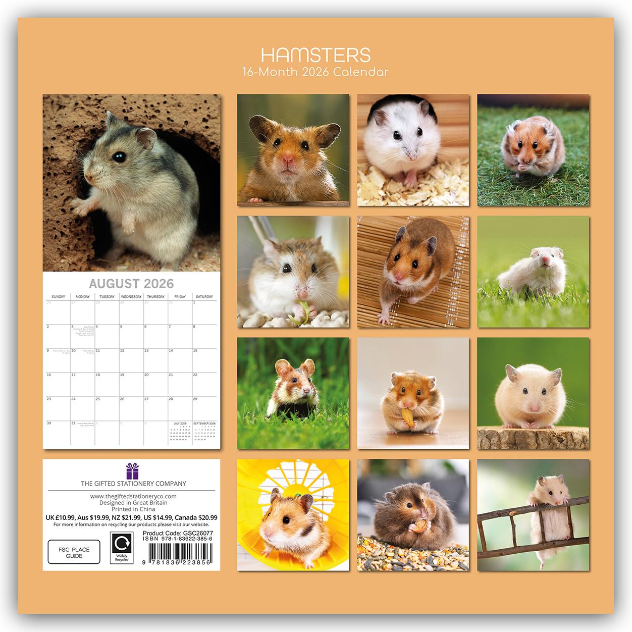 Rückseitencover Hamsters - Hamster 2026 - 16-Monatskalender