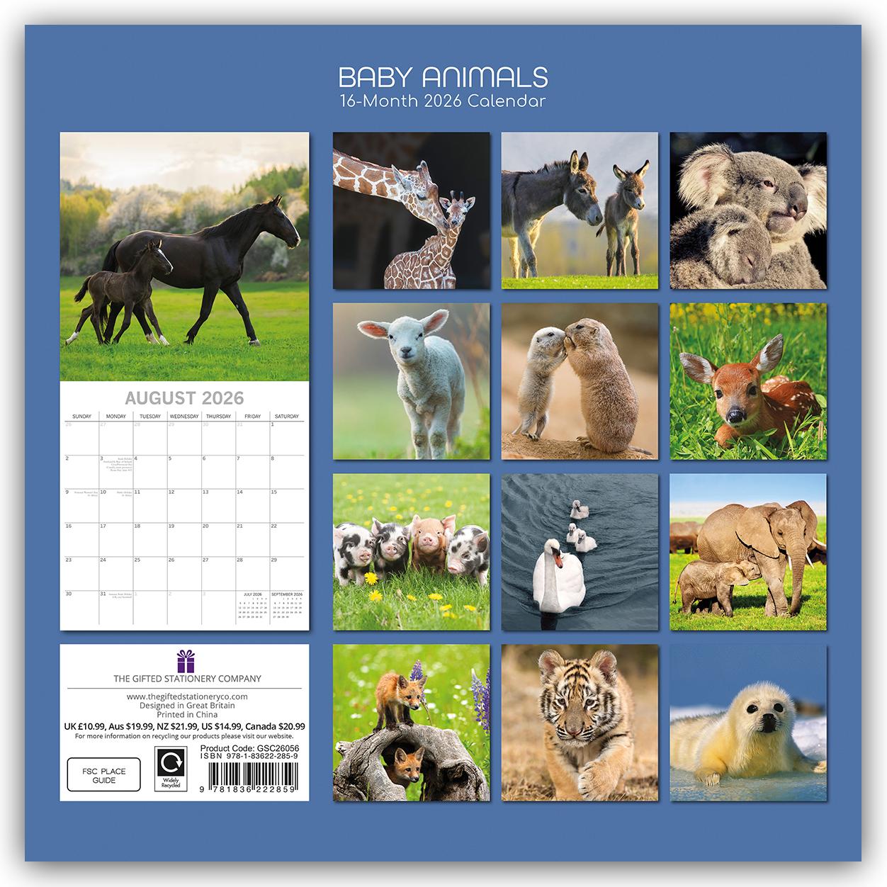 Rückseitencover Baby Animals - Tierkinder 2026 - 16-Monatskalender