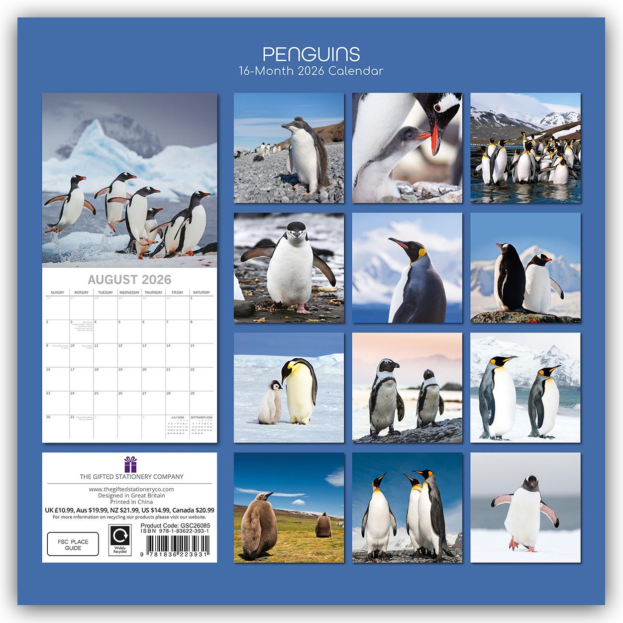 Rückseitencover Penguins - Pinguine 2026 - 16-Monatskalender