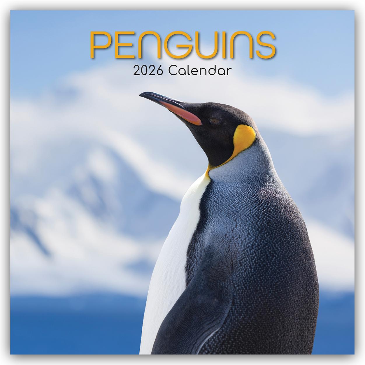 Vorderes Coverbild Penguins - Pinguine 2026 - 16-Monatskalender
