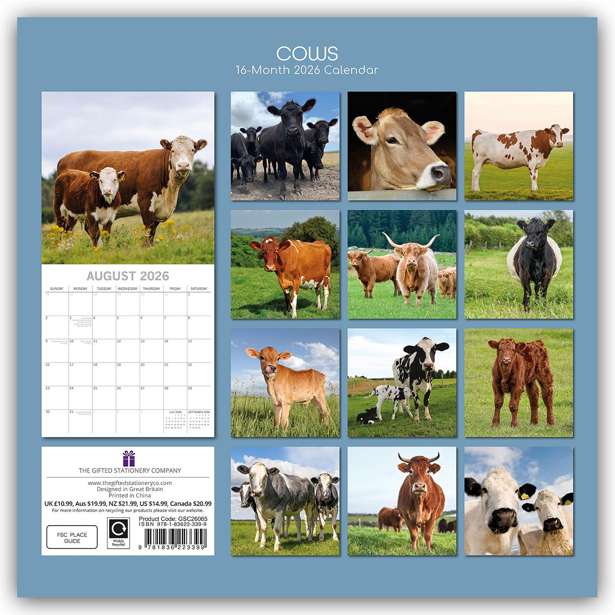 Rückseitencover Cows - Kühe 2026 - 16-Monatskalender