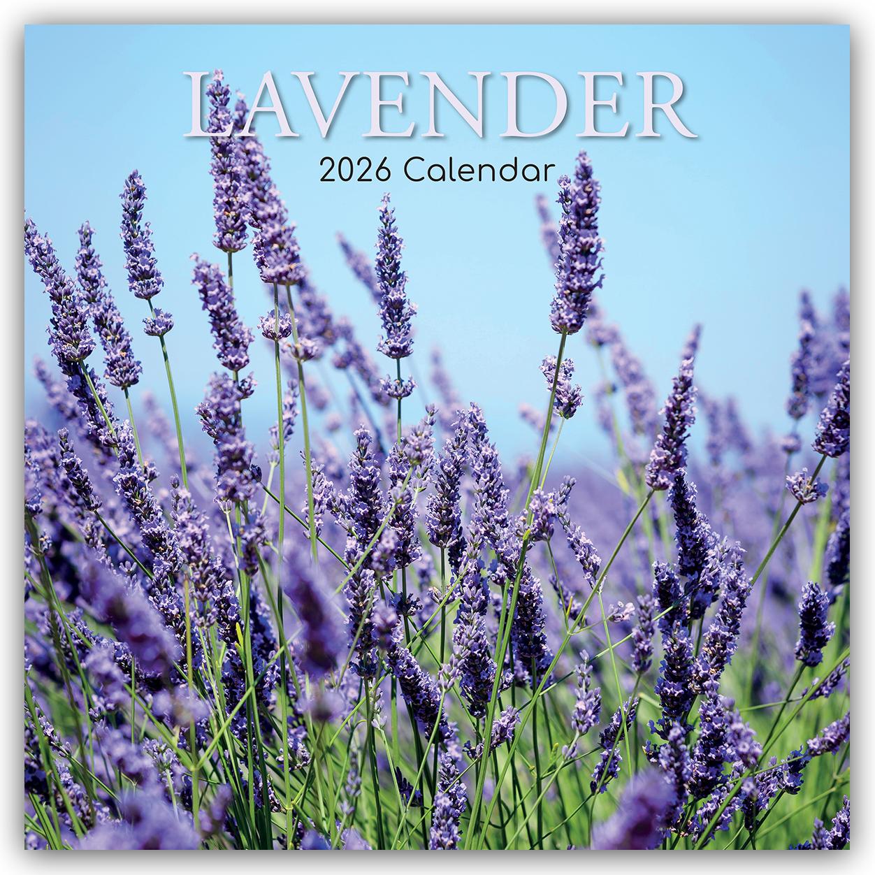 Vorderes Coverbild Lavender - Lavendel 2026 - 16-Monatskalender