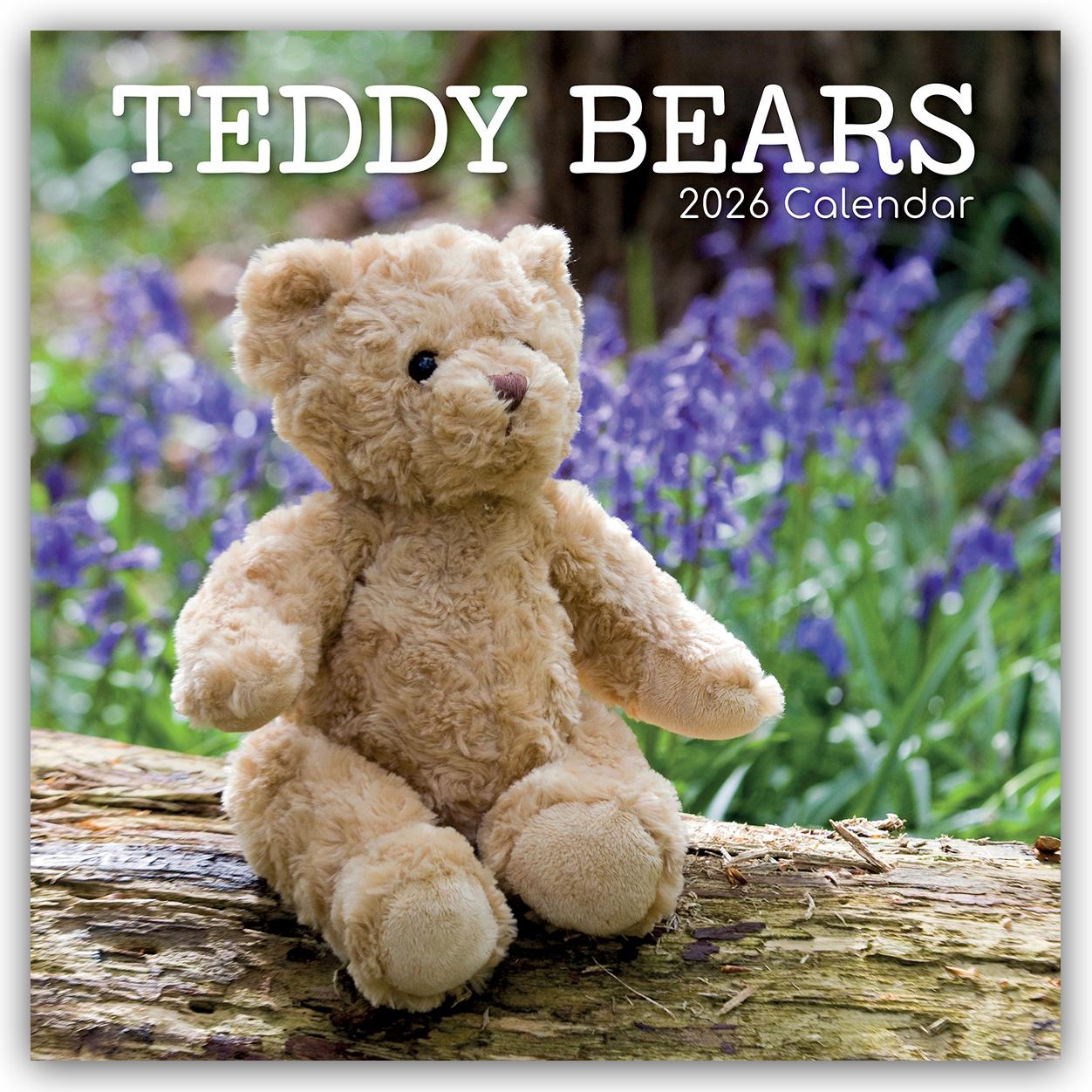 Vorderes Coverbild Teddy Bears - Teddybären 2026 - 16-Monatskalender