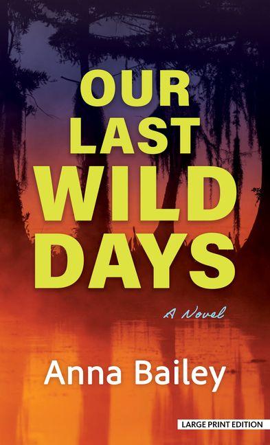 Vorderes Coverbild Our Last Wild Days