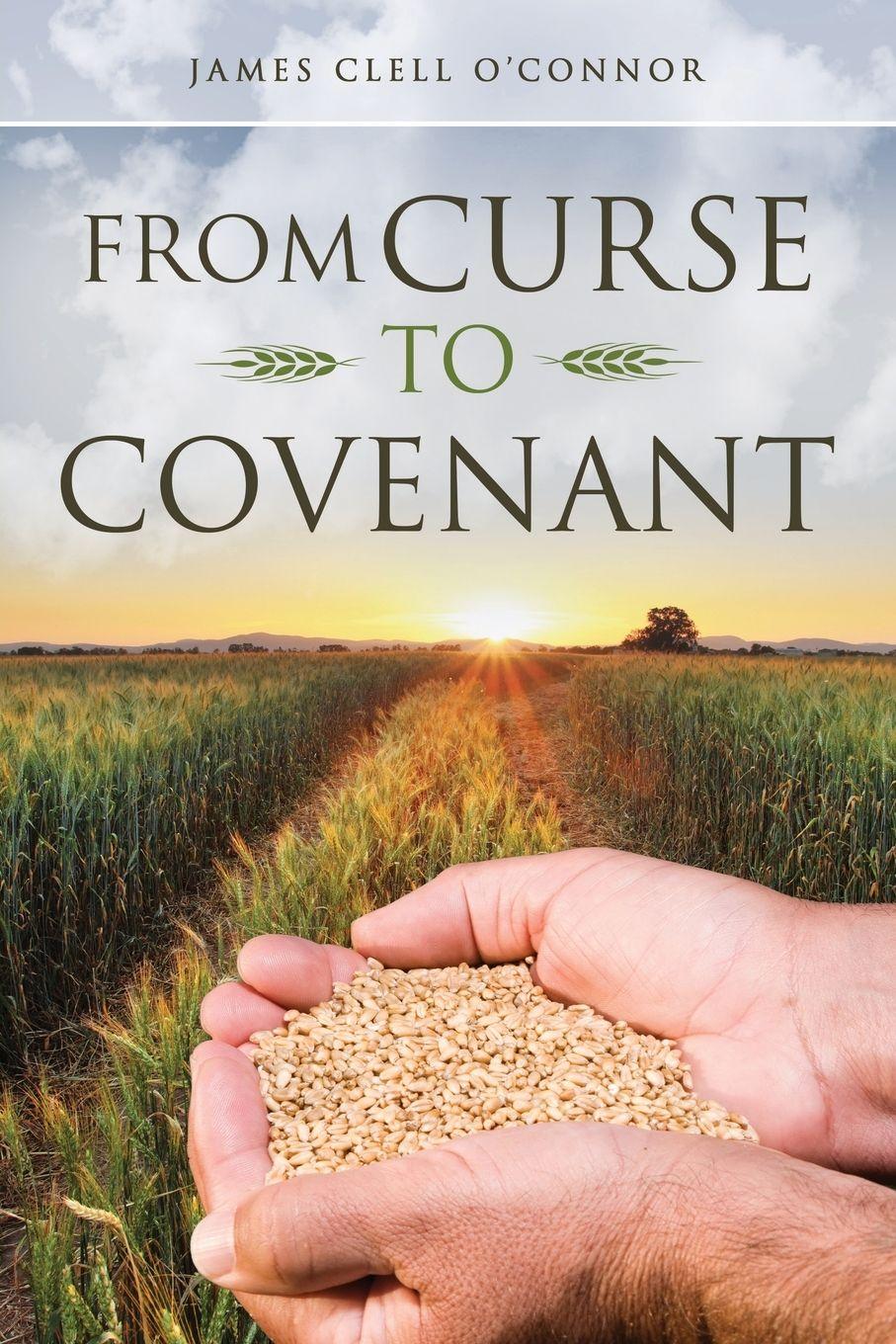Vorderes Coverbild From Curse to Covenant