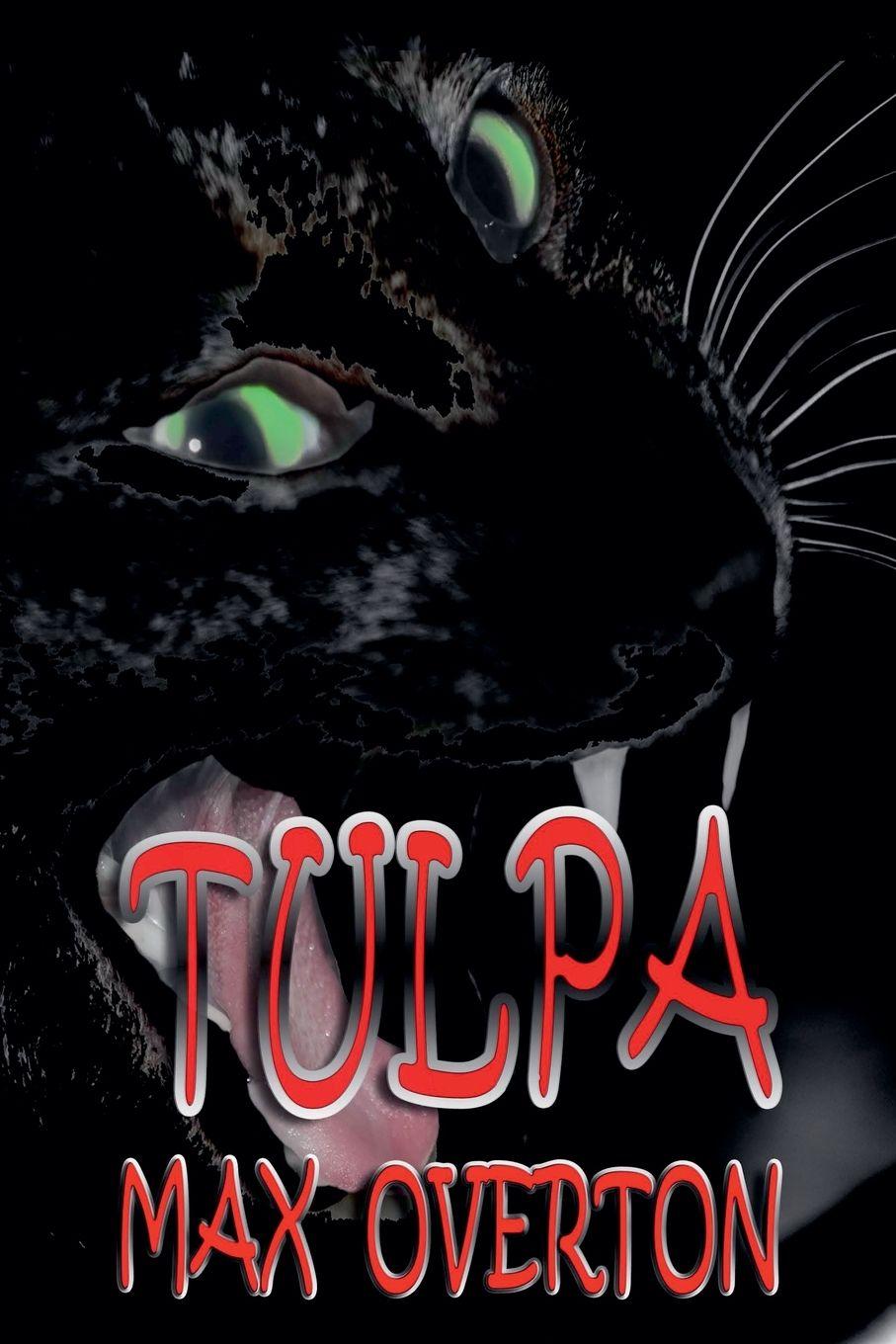 Vorderes Coverbild Tulpa