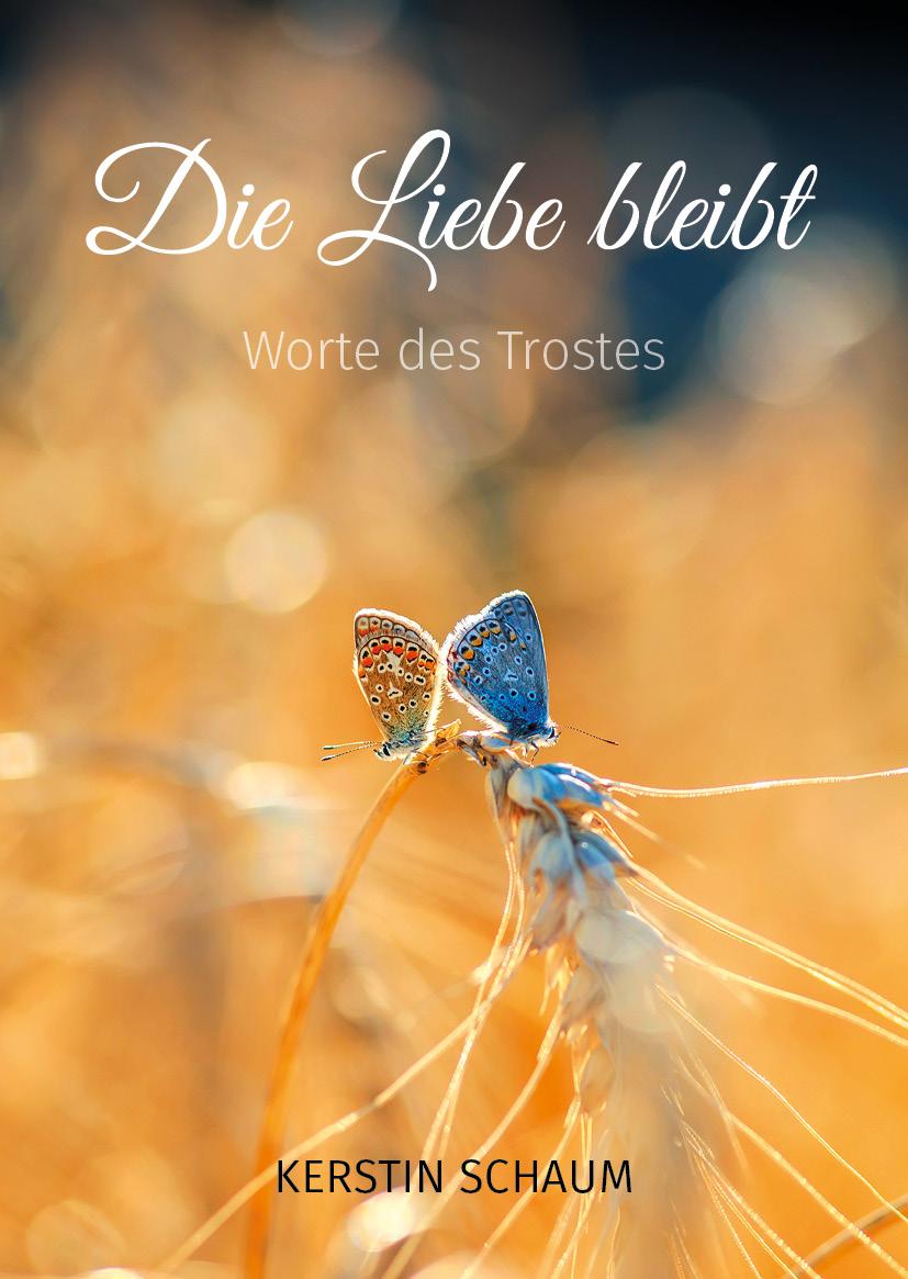Vorderes Coverbild Die Liebe bleibt