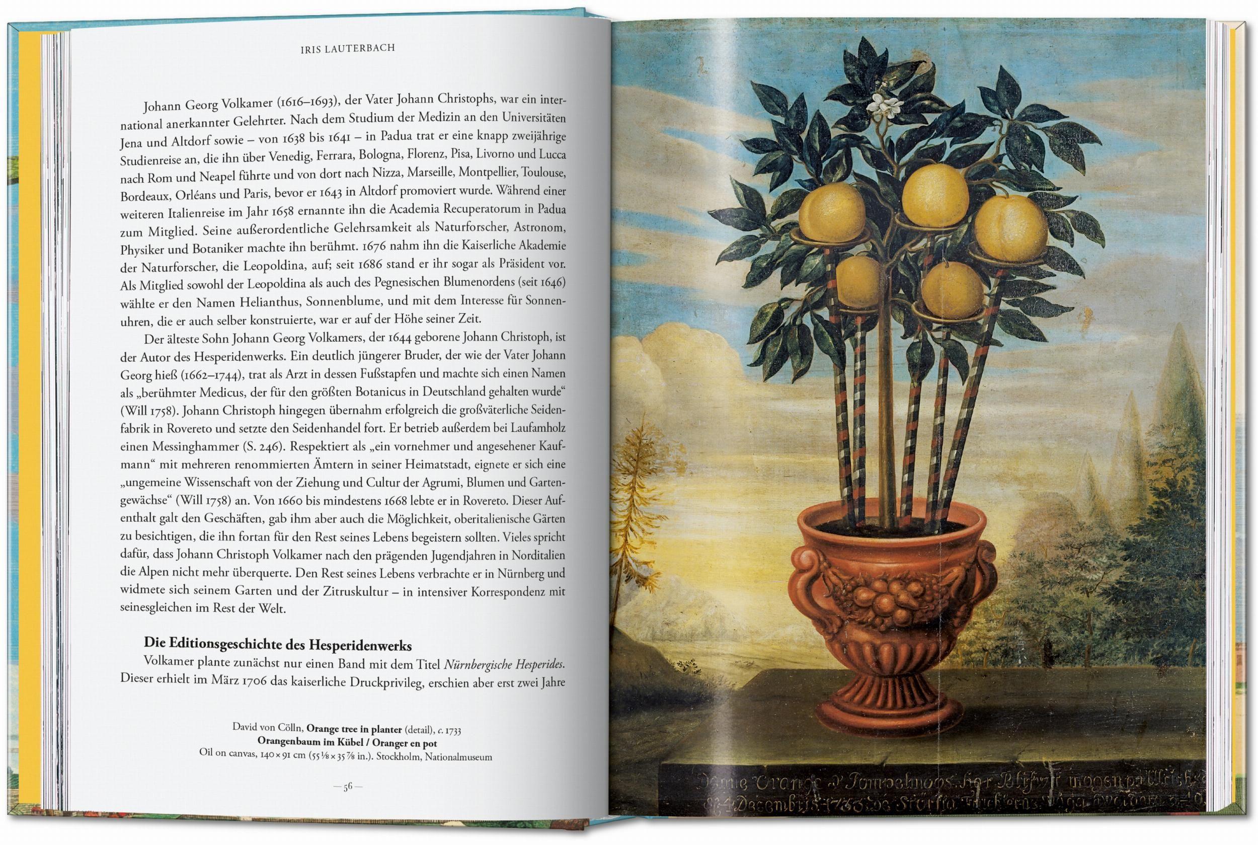 Beispielinhalt (Bild) J. C. Volkamer. The Book of Citrus Fruits. 45th Ed.