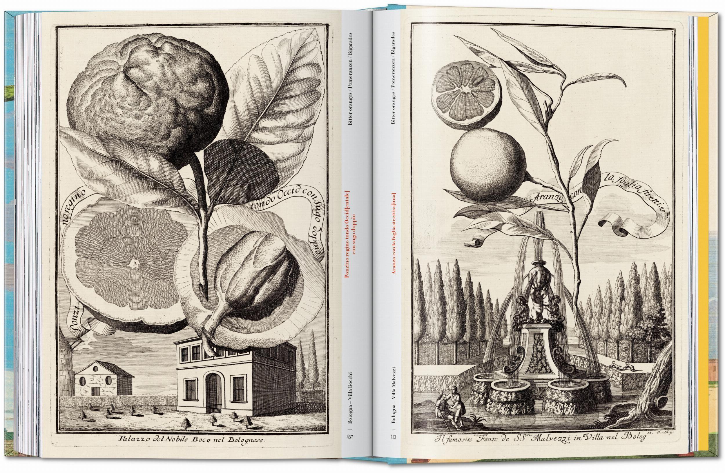 Beispielinhalt (Bild) J. C. Volkamer. The Book of Citrus Fruits. 45th Ed.