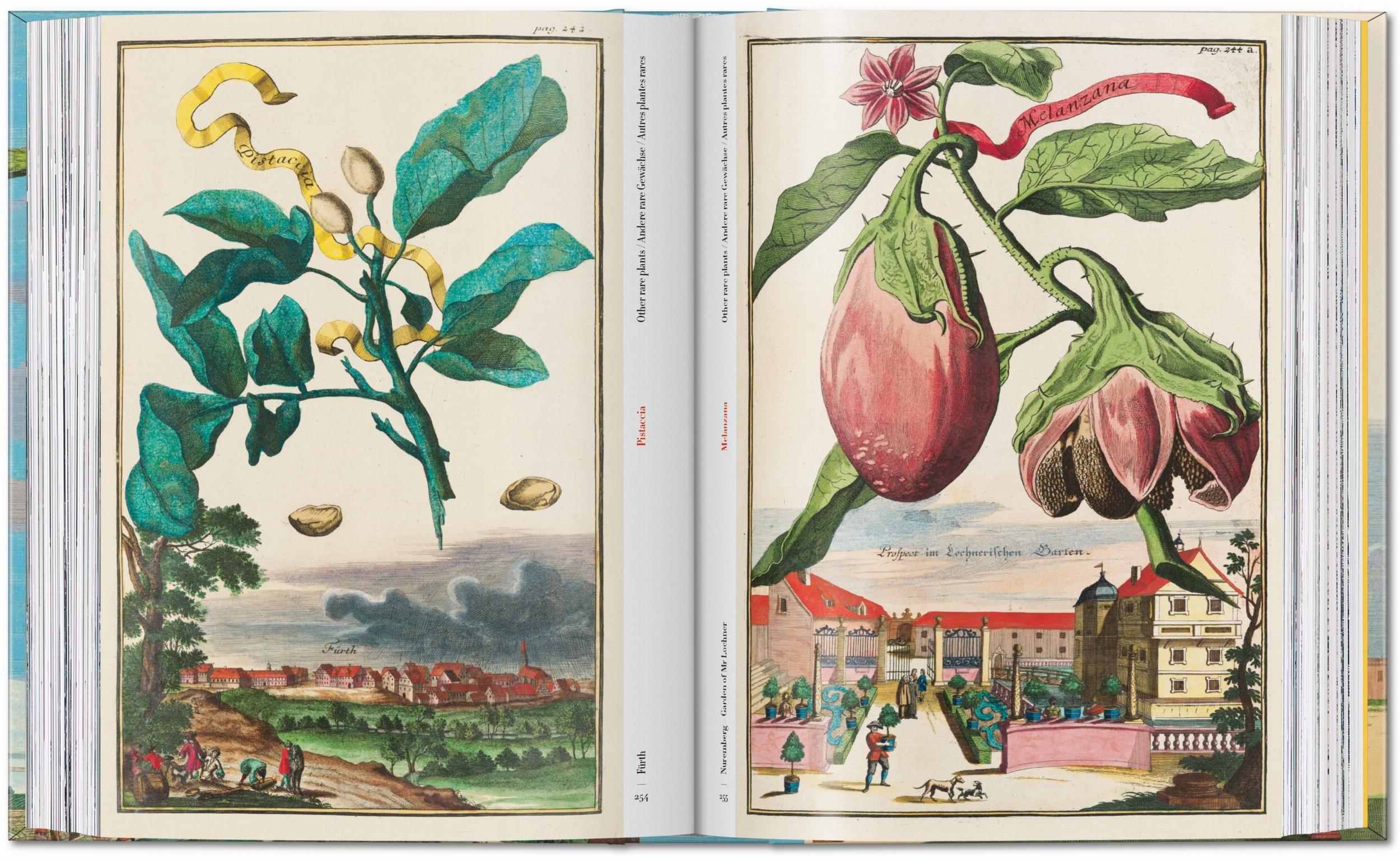 Beispielinhalt (Bild) J. C. Volkamer. The Book of Citrus Fruits. 45th Ed.