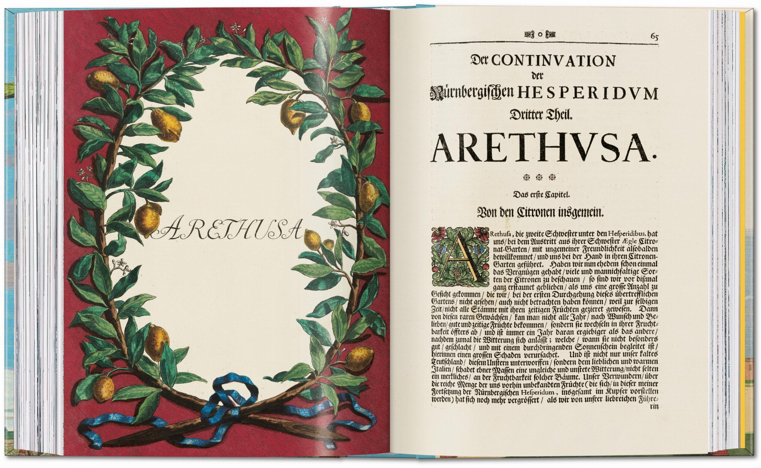 Beispielinhalt (Bild) J. C. Volkamer. The Book of Citrus Fruits. 45th Ed.