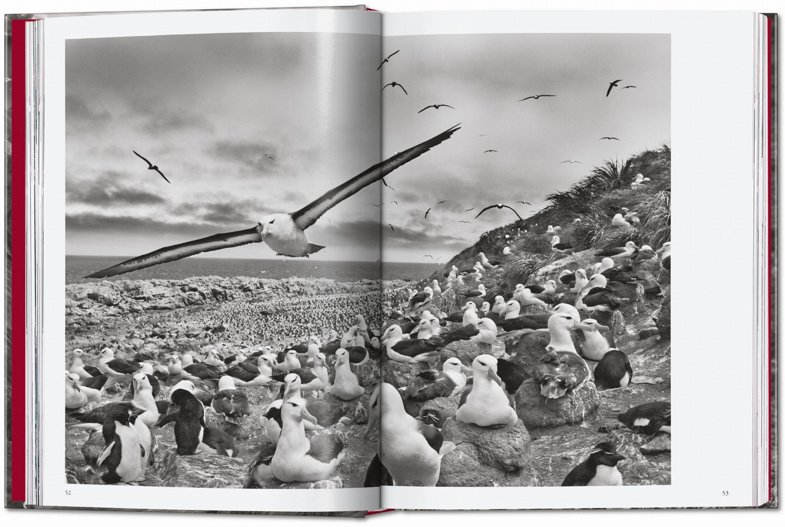 Beispielinhalt (Bild) Sebastião Salgado. Genesis. 45th Ed.