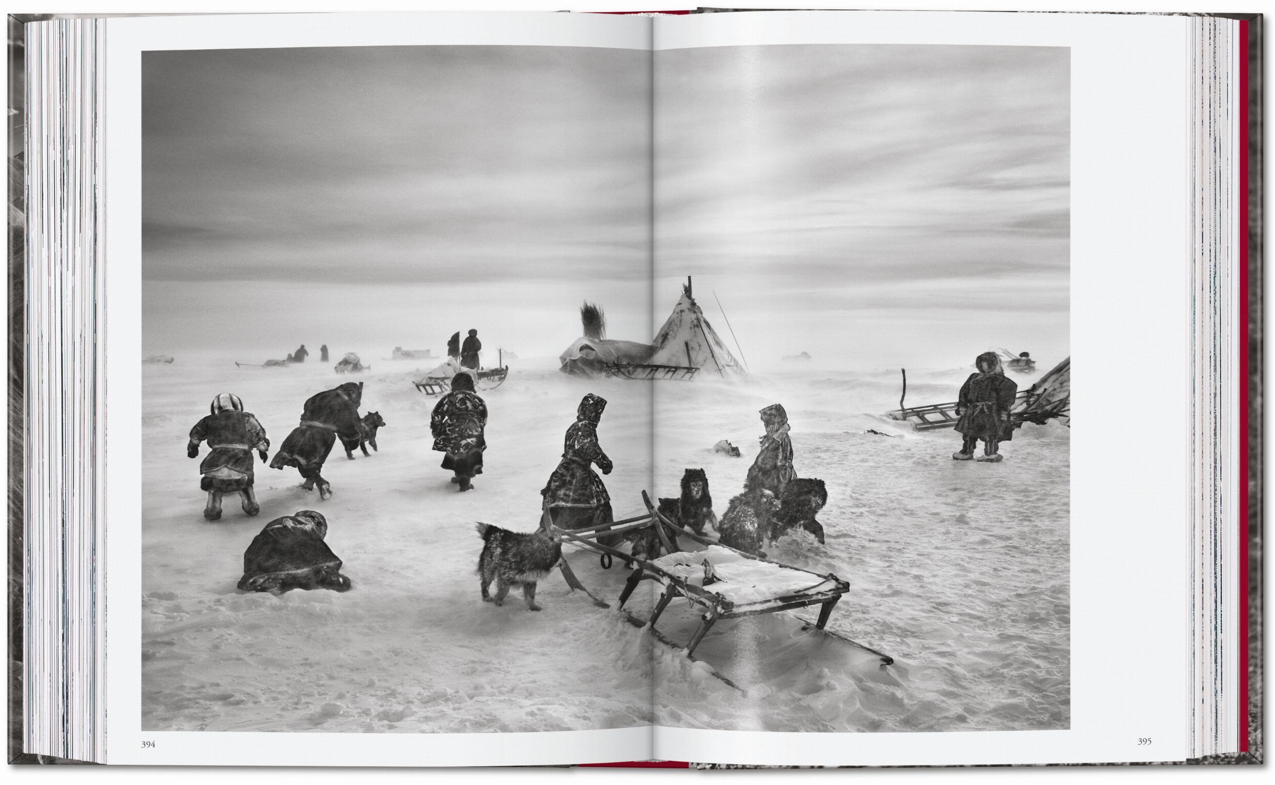 Beispielinhalt (Bild) Sebastião Salgado. Genesis. 45th Ed.