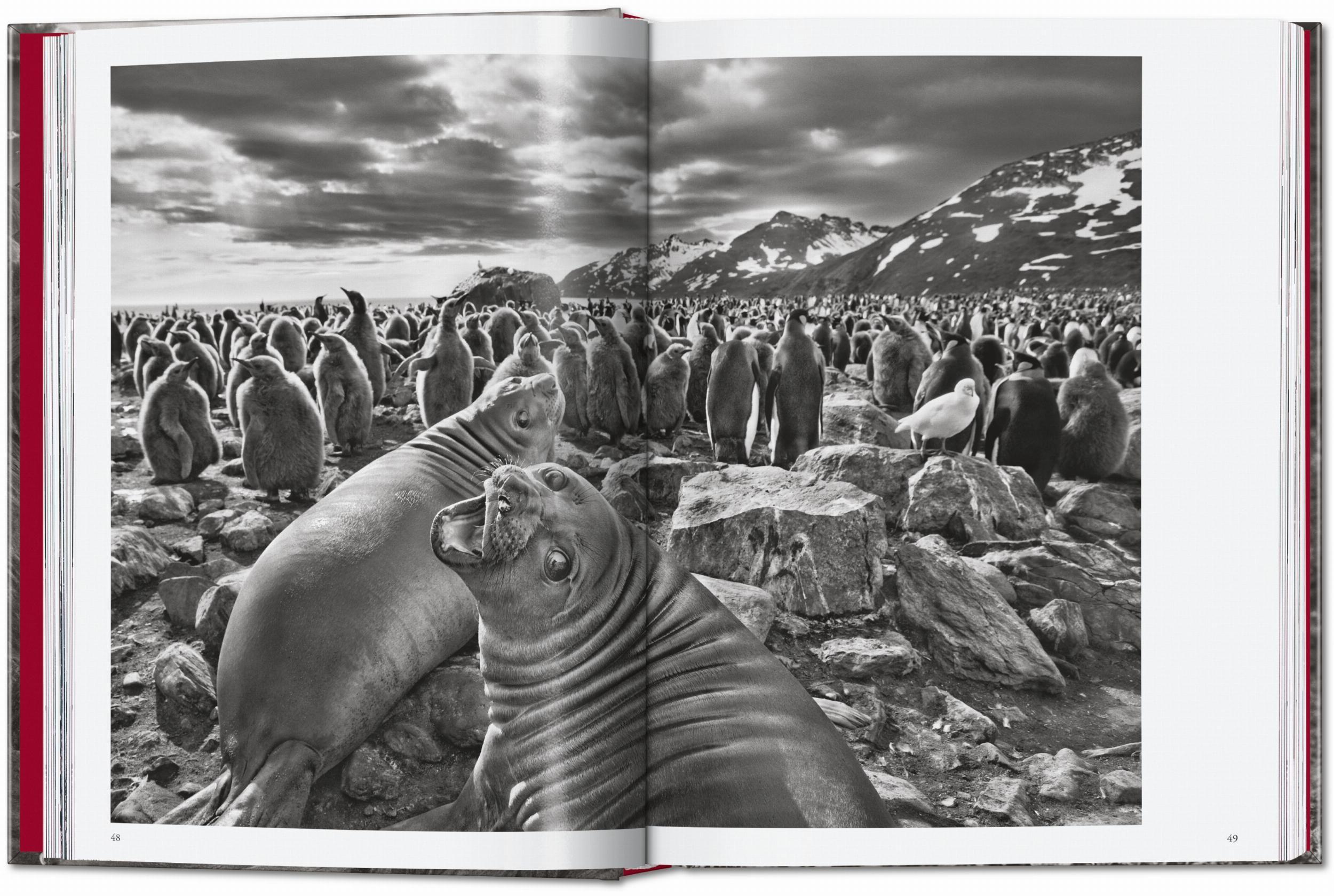 Beispielinhalt (Bild) Sebastião Salgado. Genesis. 45th Ed.