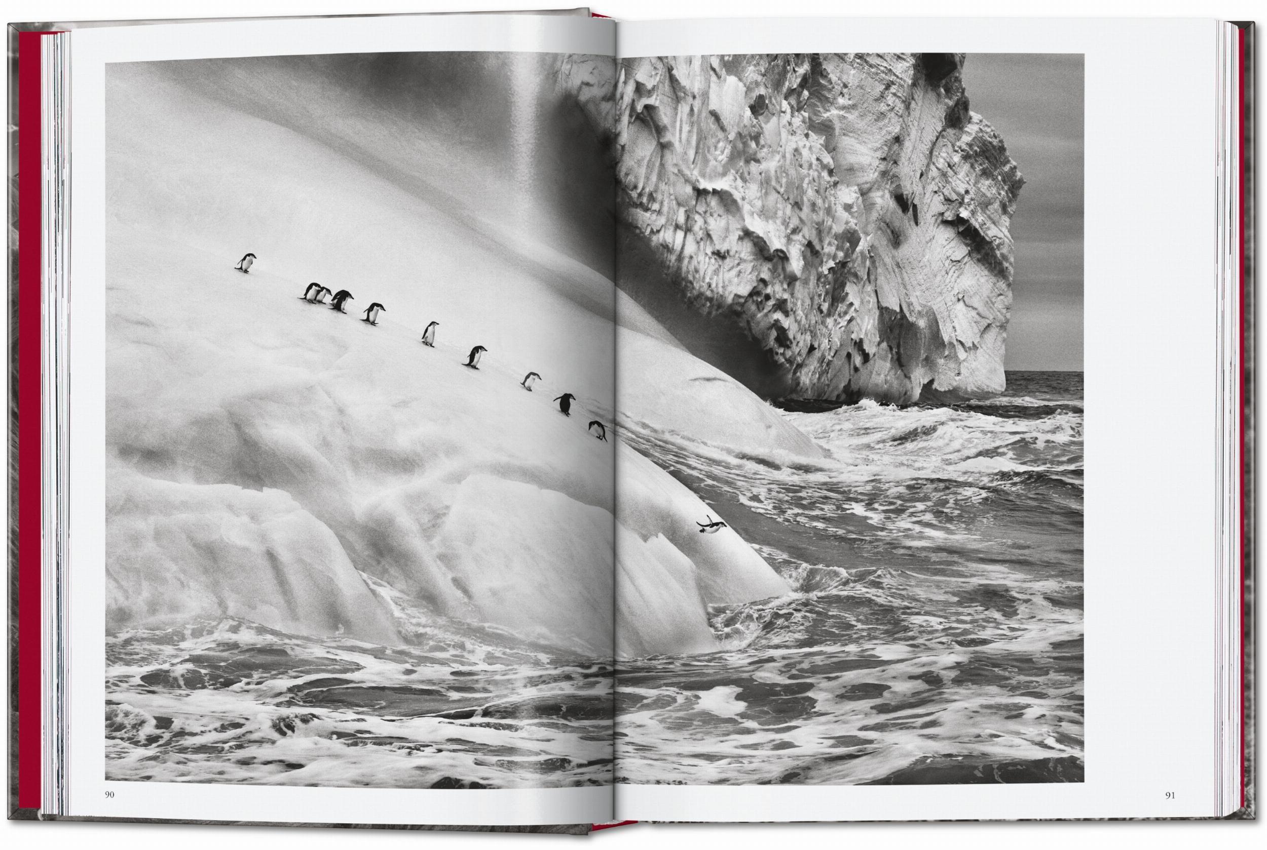 Beispielinhalt (Bild) Sebastião Salgado. Genesis. 45th Ed.