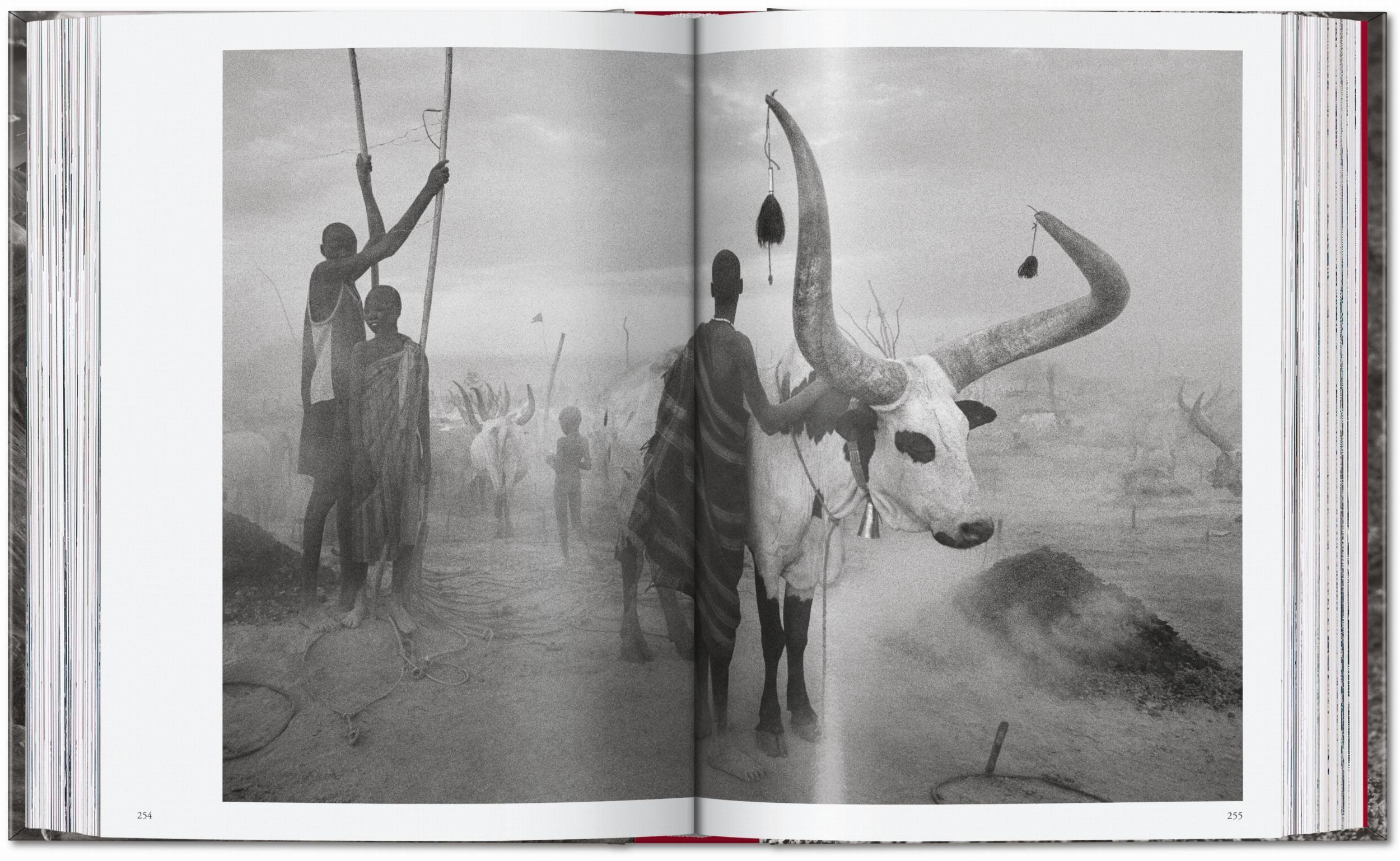Beispielinhalt (Bild) Sebastião Salgado. Genesis. 45th Ed.