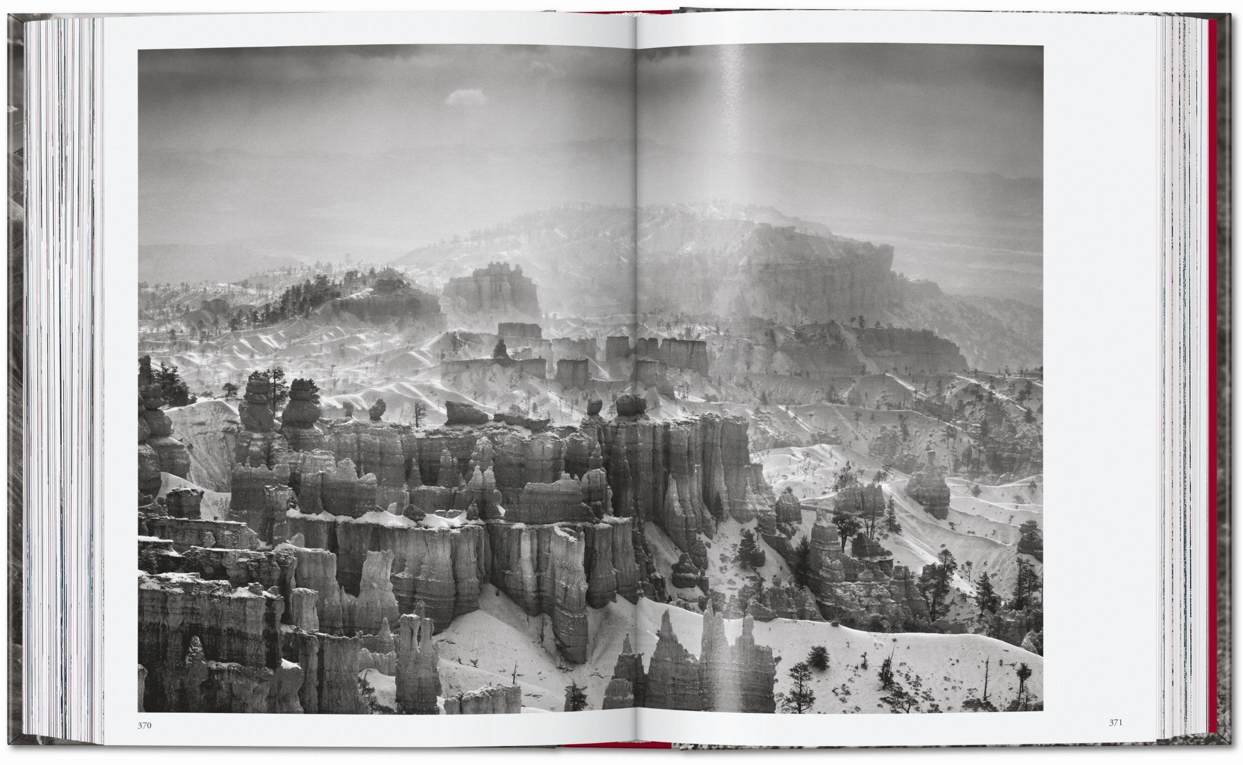 Beispielinhalt (Bild) Sebastião Salgado. Genesis. 45th Ed.