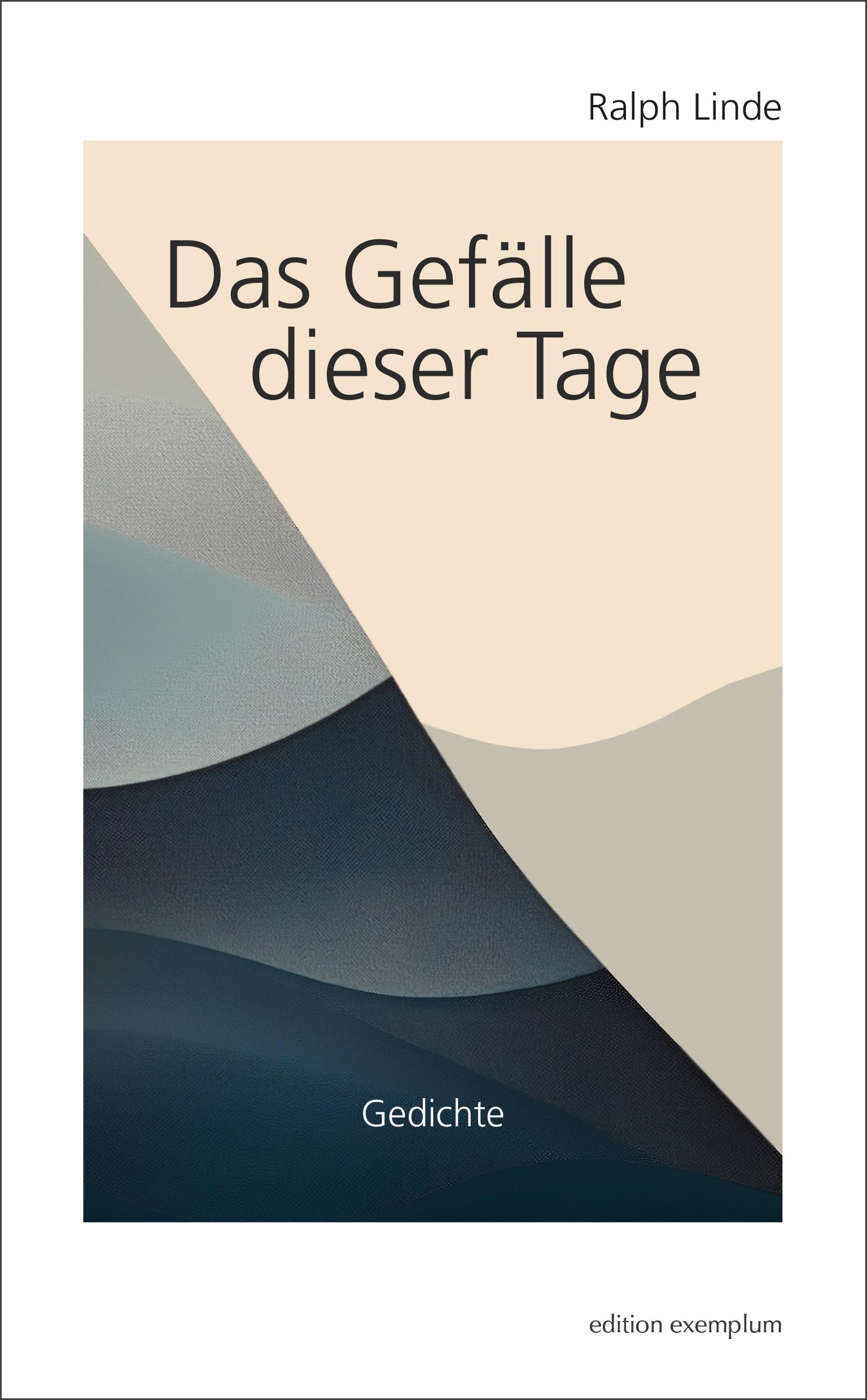 Vorderes Coverbild Das Gefälle dieser Tage