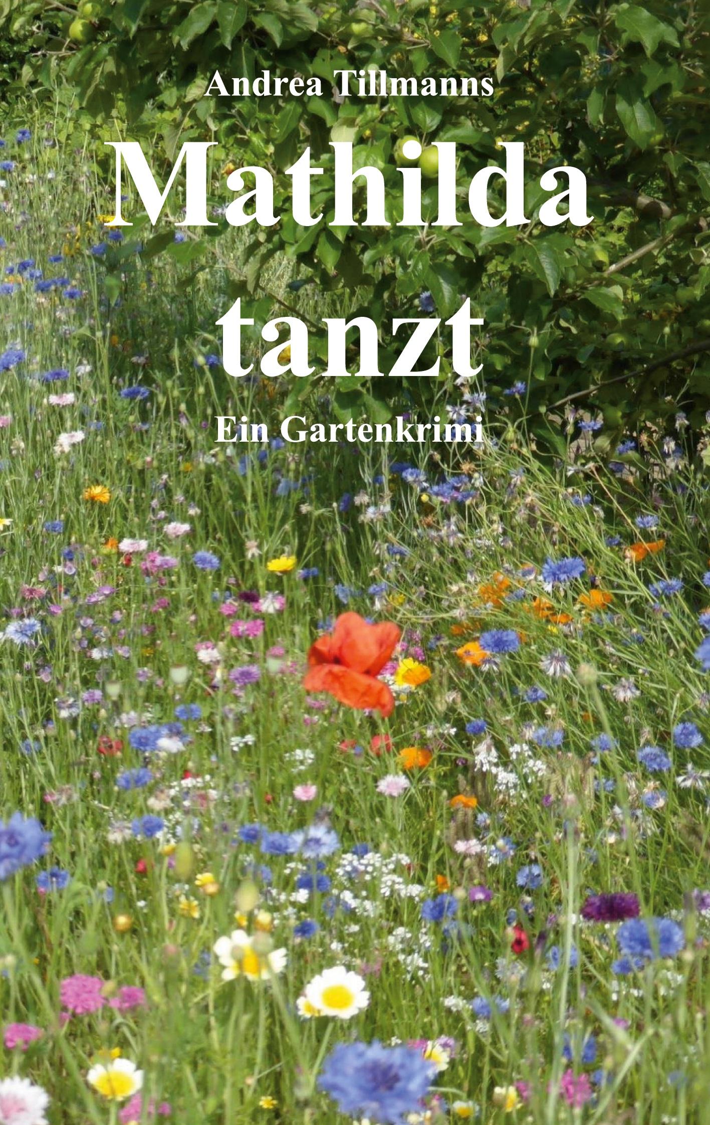 Vorderes Coverbild Mathilda tanzt