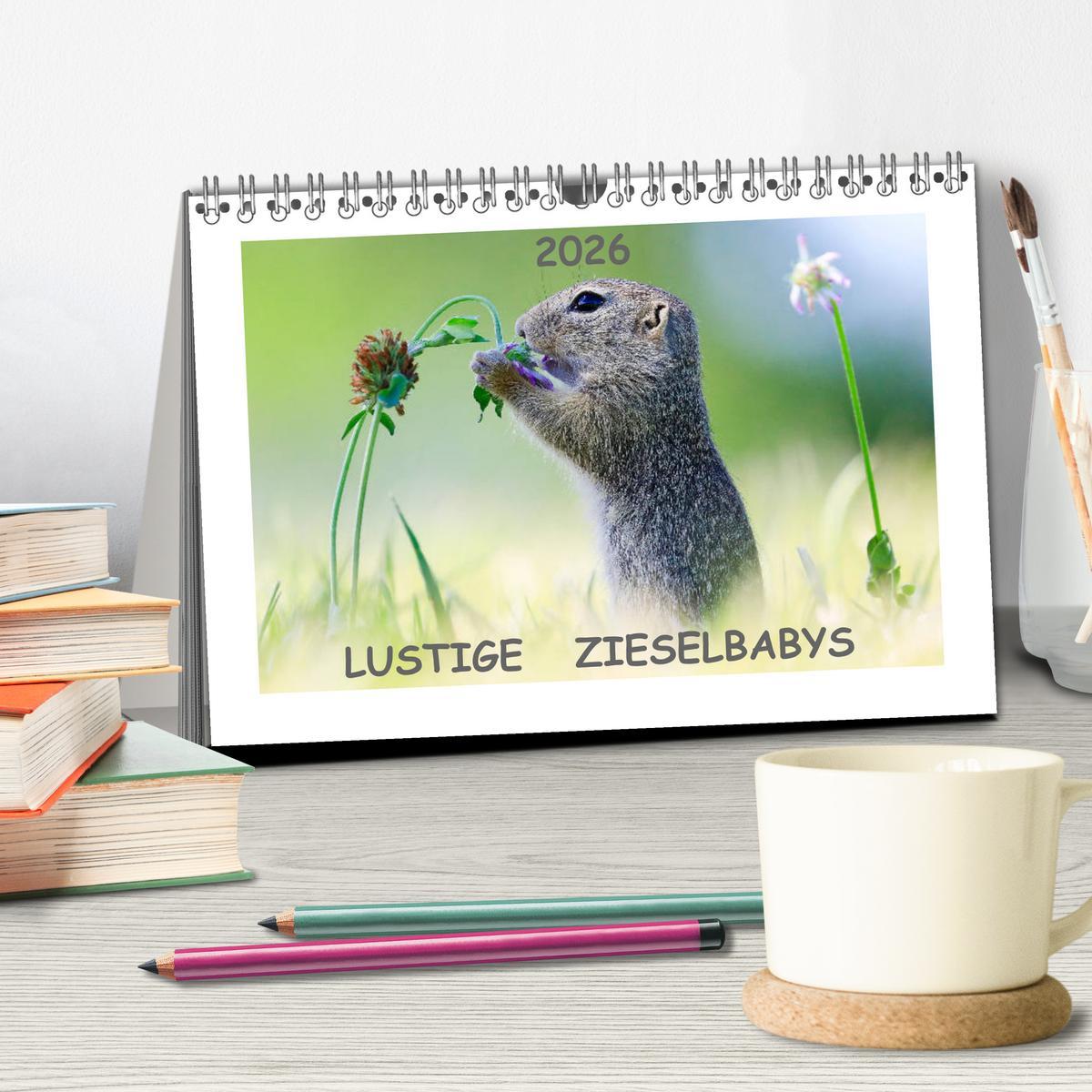 Beispielinhalt (Bild) Lustige Zieselbabys (Tischkalender 2026 DIN A5 quer), CALVENDO Monatskalender
