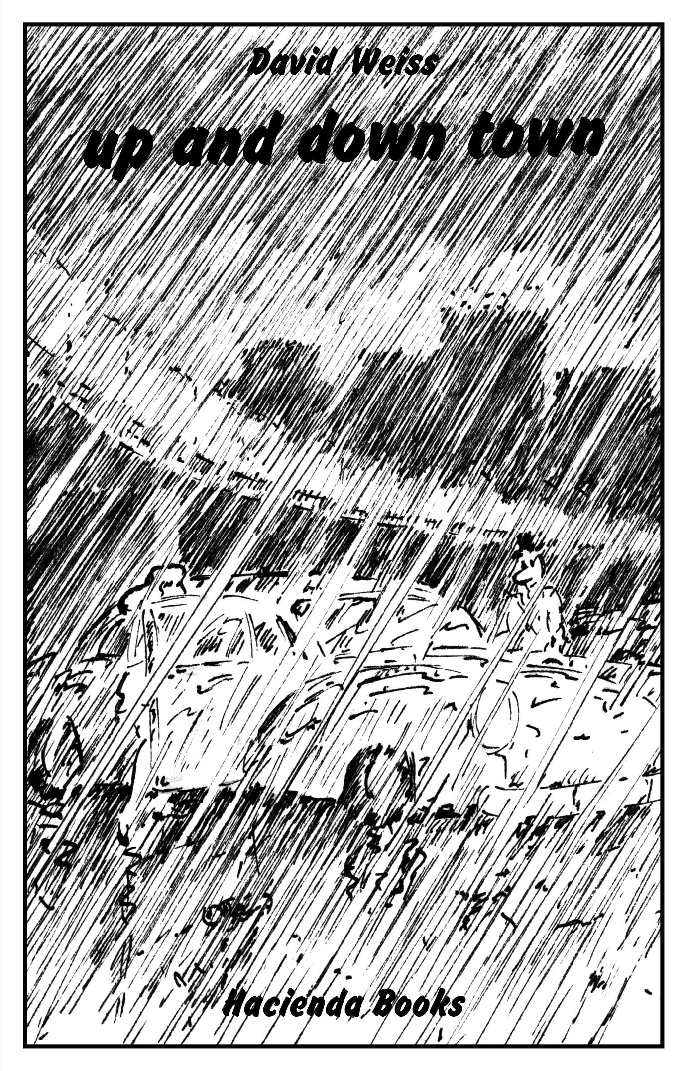 Vorderes Coverbild David Weiss - up and down town / Regenbüchlein