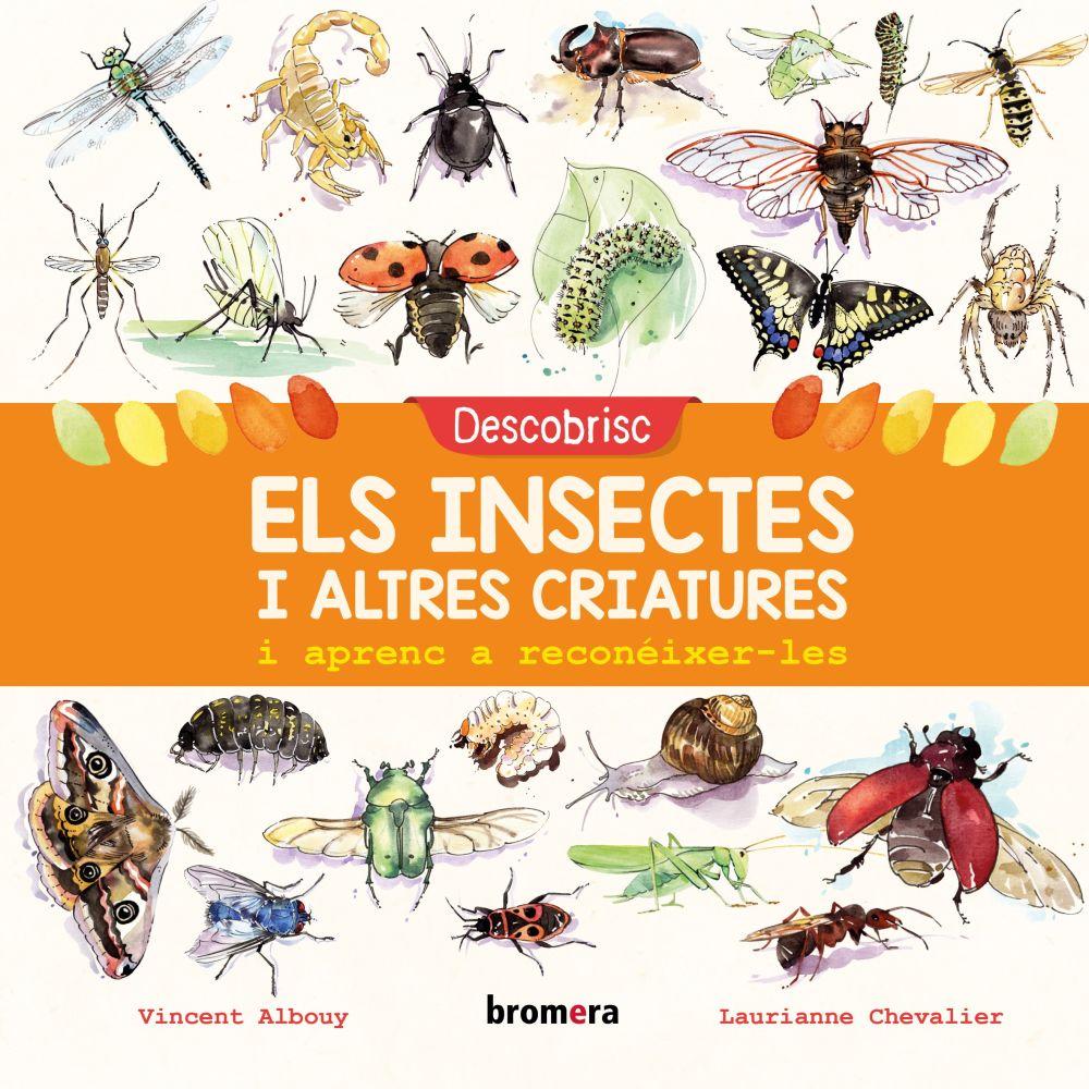 Beispielinhalt (Bild) Descobrisc els insectes i altres criatures i aprenc a reconéixer-les