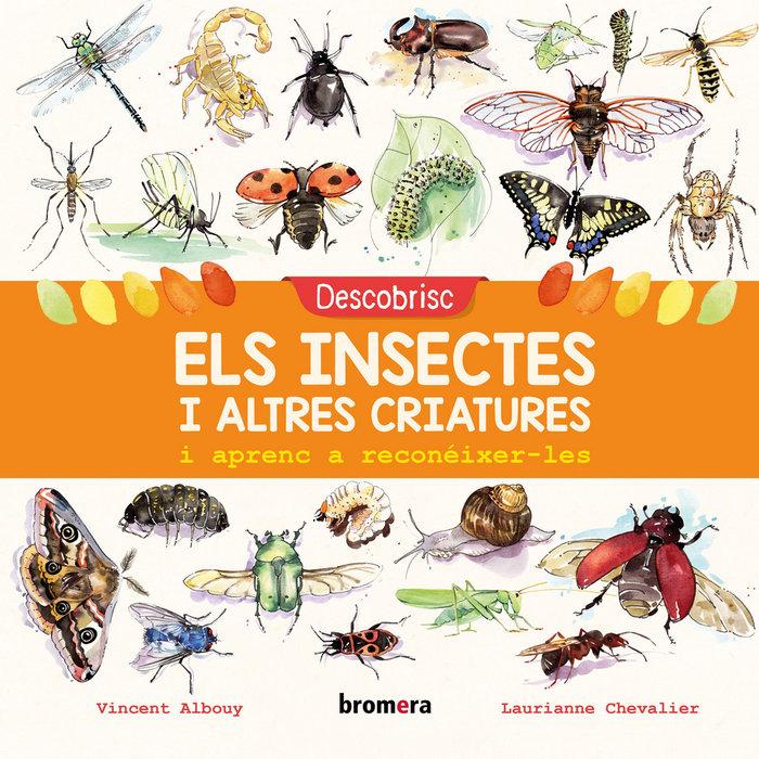 Vorderes Coverbild Descobrisc els insectes i altres criatures i aprenc a reconéixer-les